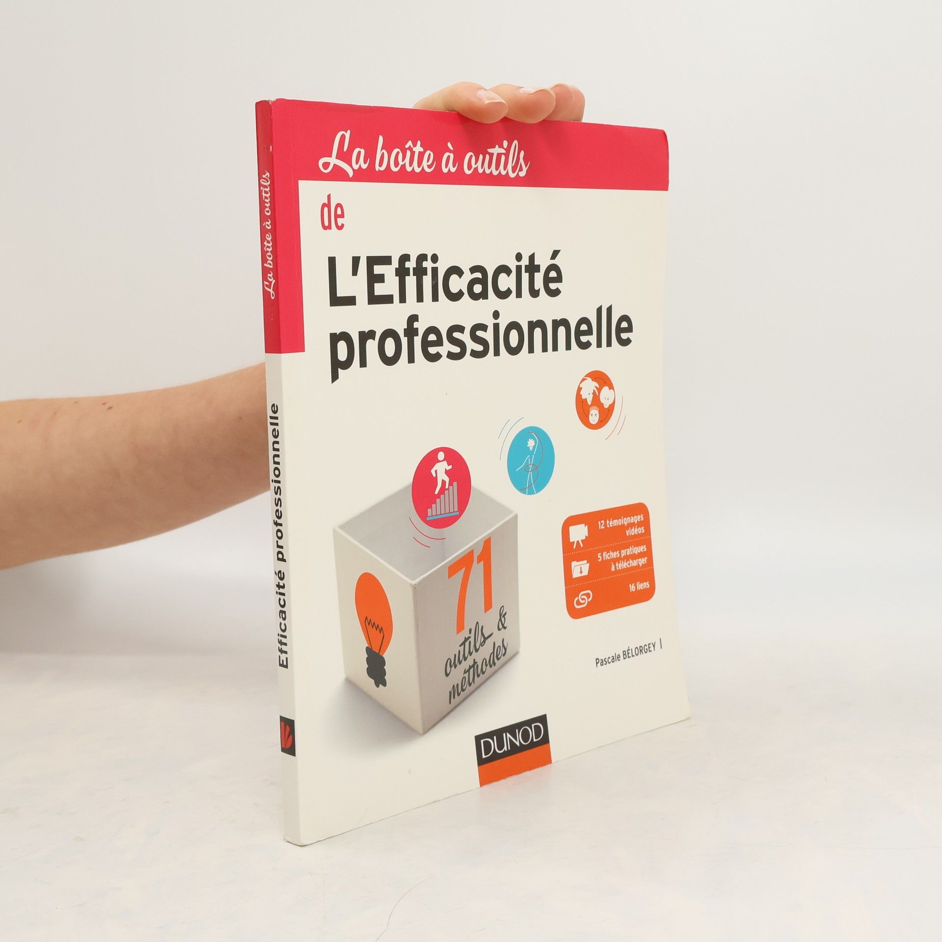 Pascale Bélorgey La boîte à outils de l'efficacité professionnelle