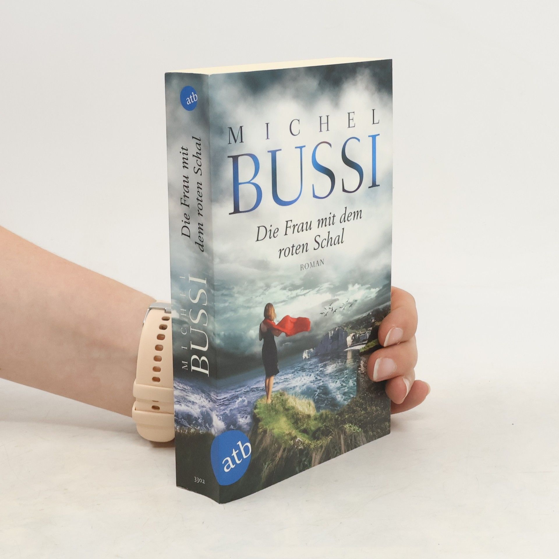 Michel Bussi Die Frau mit dem roten Schal