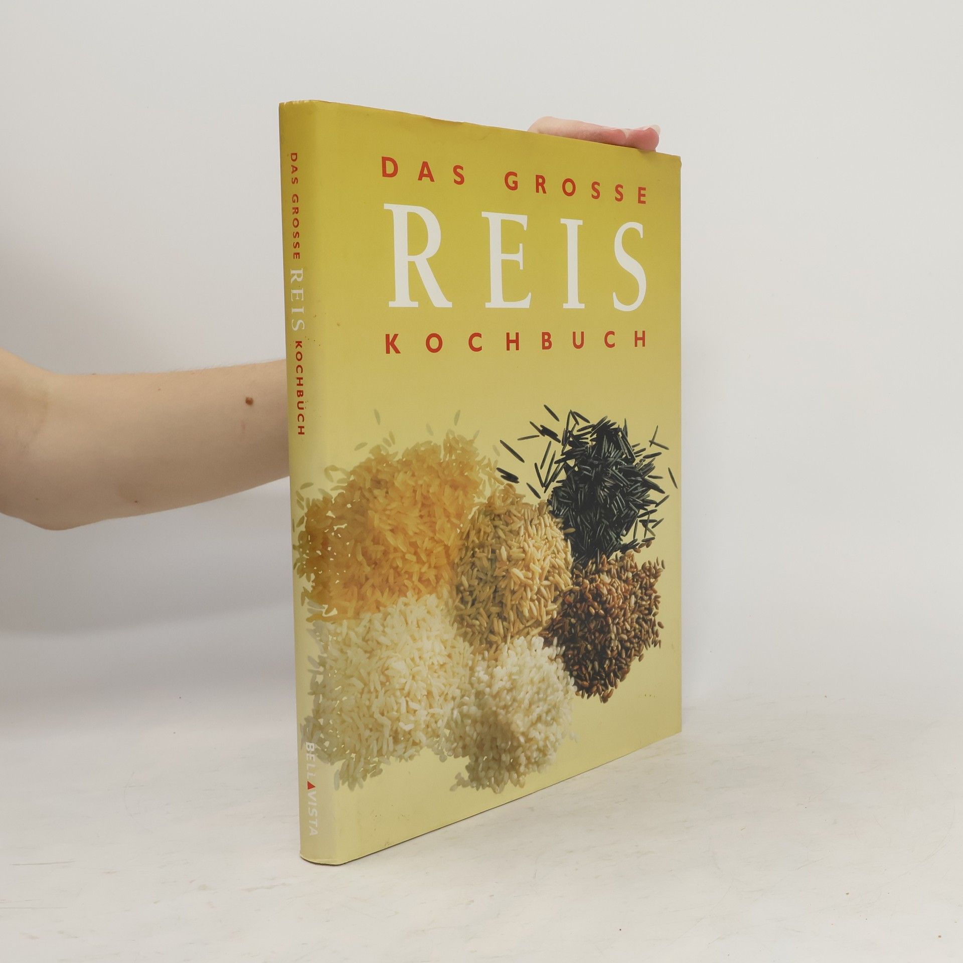 Daniel Hoch Das grosse Reis-Kochbuch
