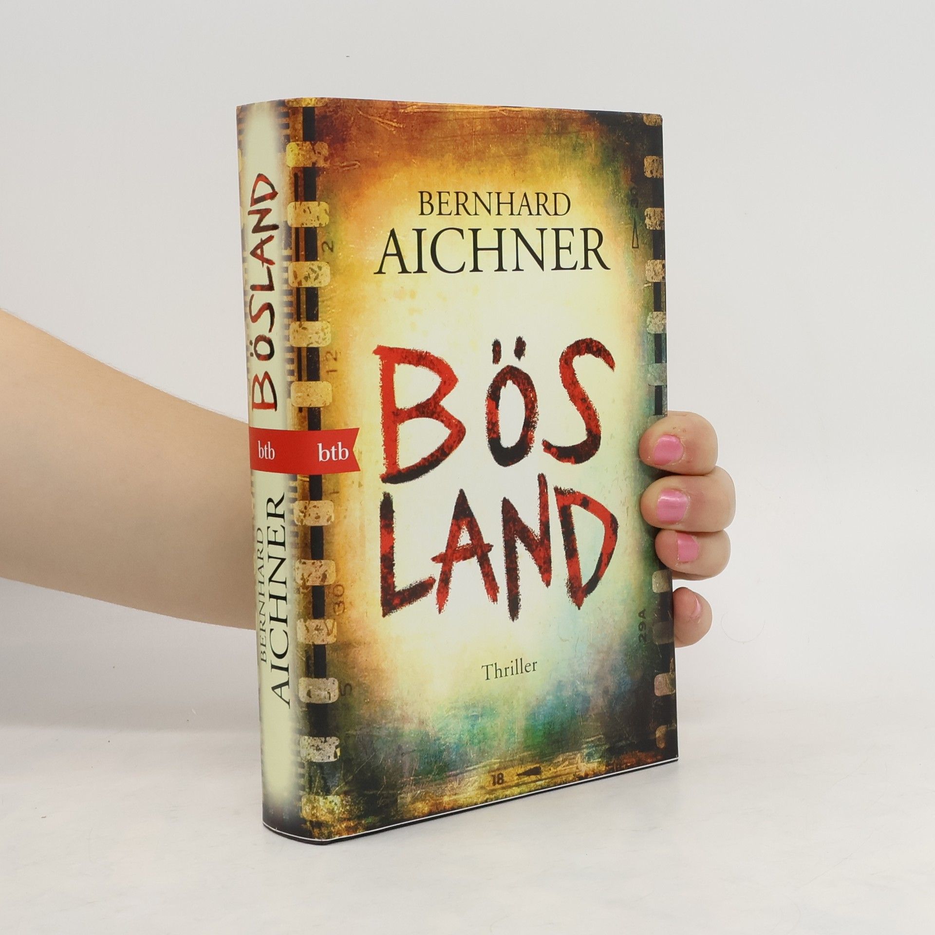 Bernhard Aichner Bösland