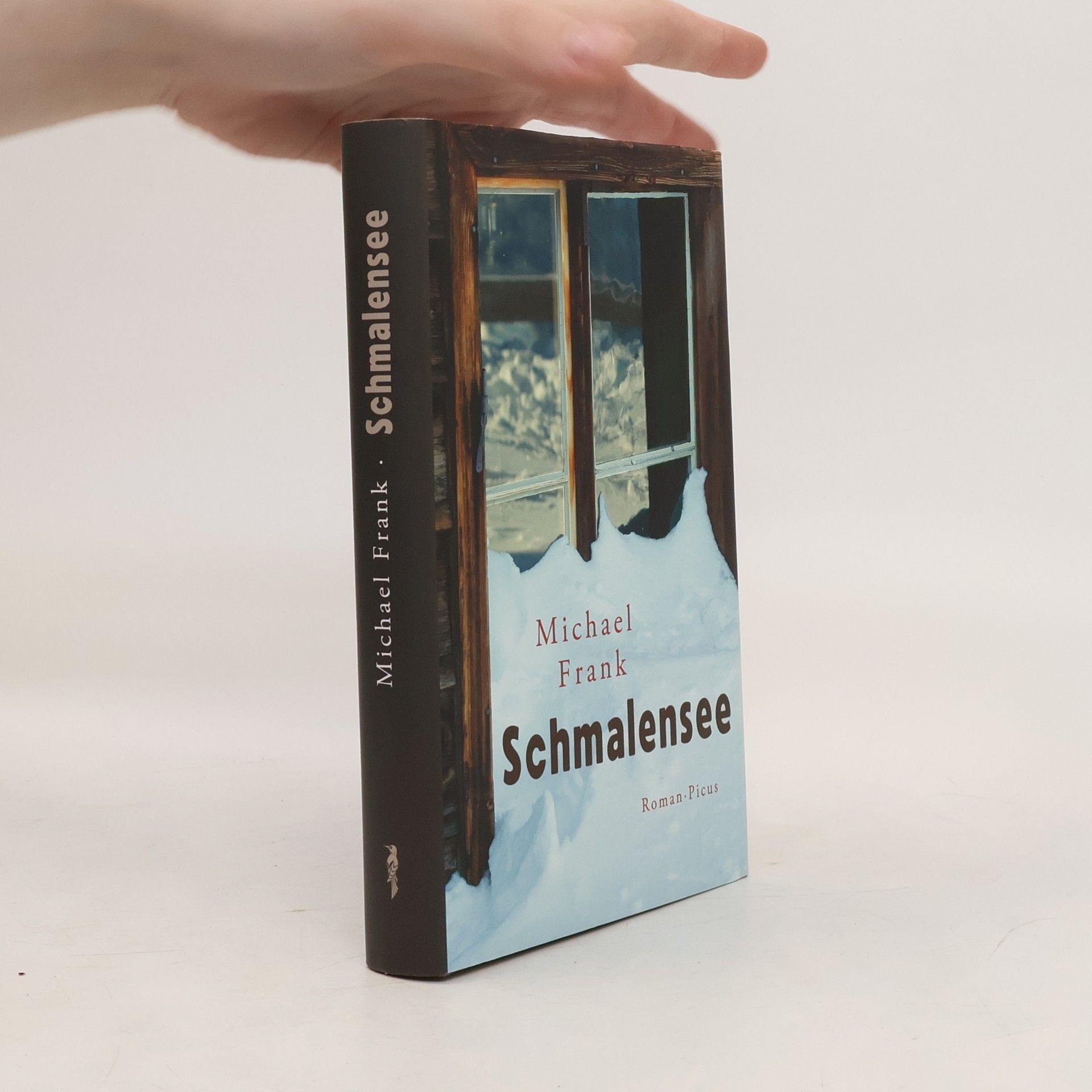 Frank-Michael Wiegand Schmalensee