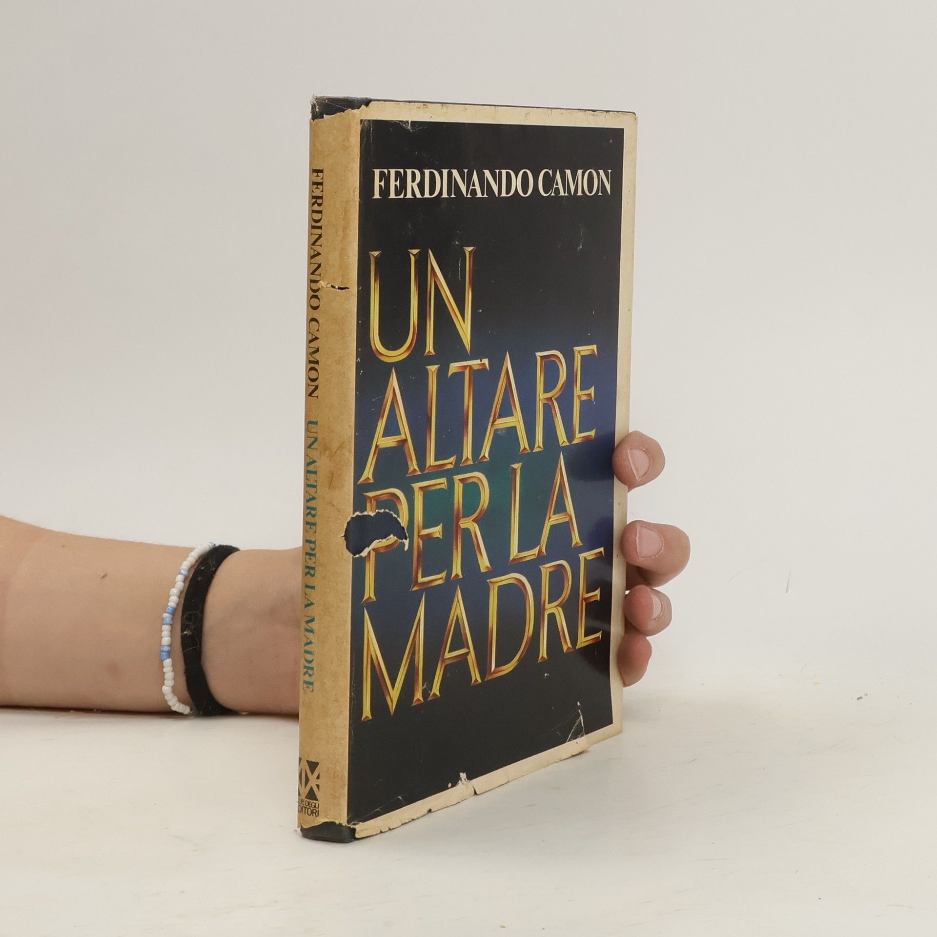 Ferdinando Camon Un altare per la madre