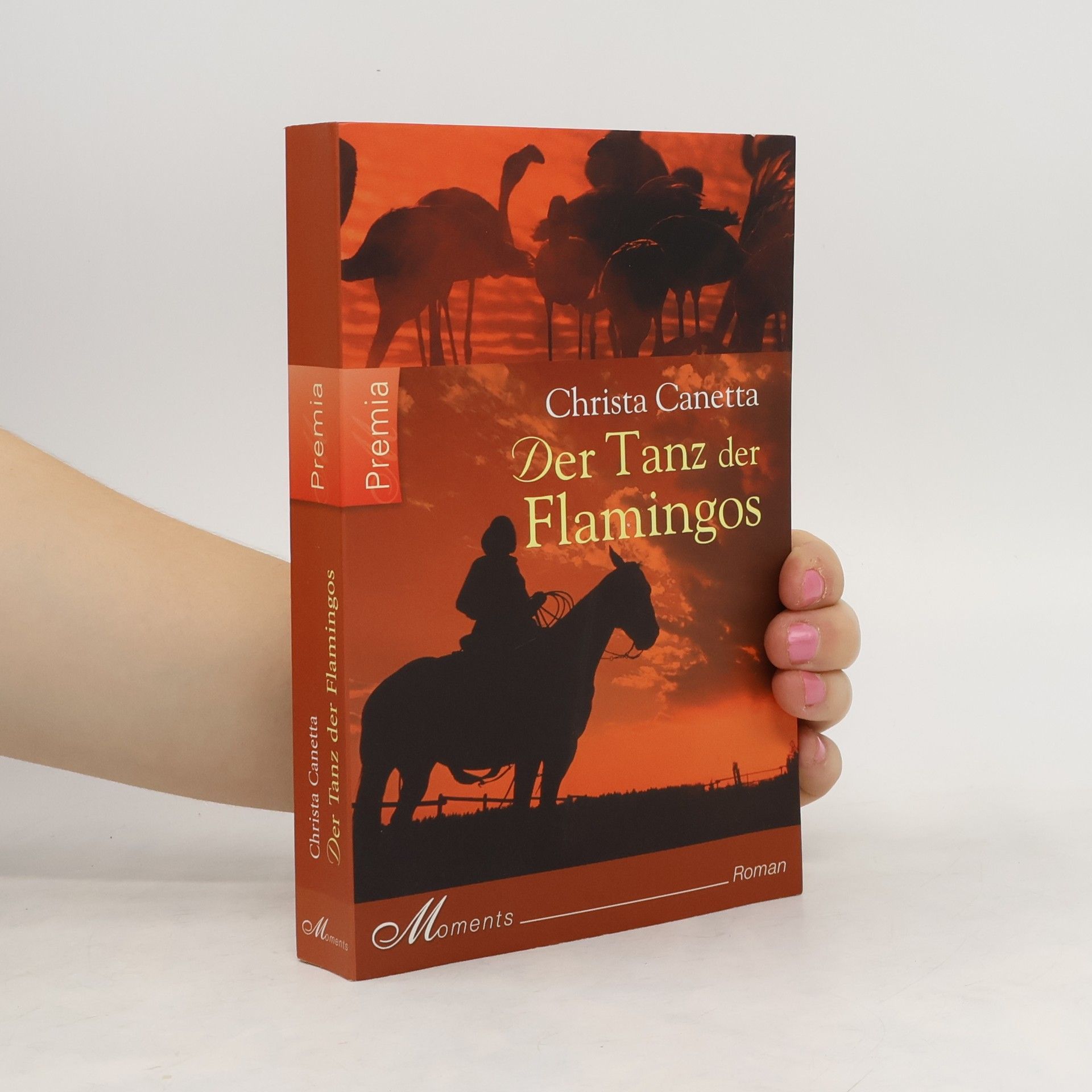 Christa Canetta Der Tanz der Flamingos