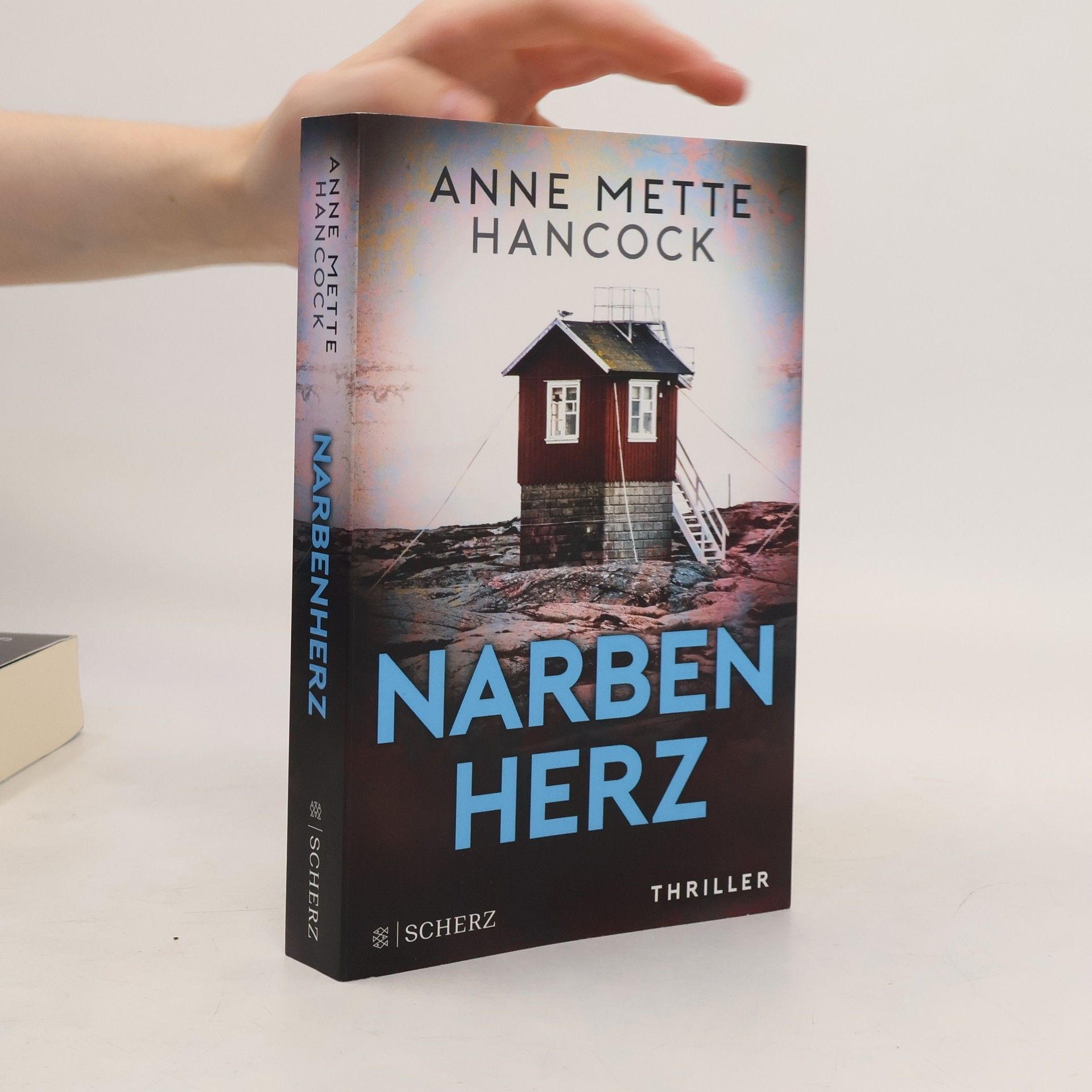 Anne Mette Hancock Narbenherz