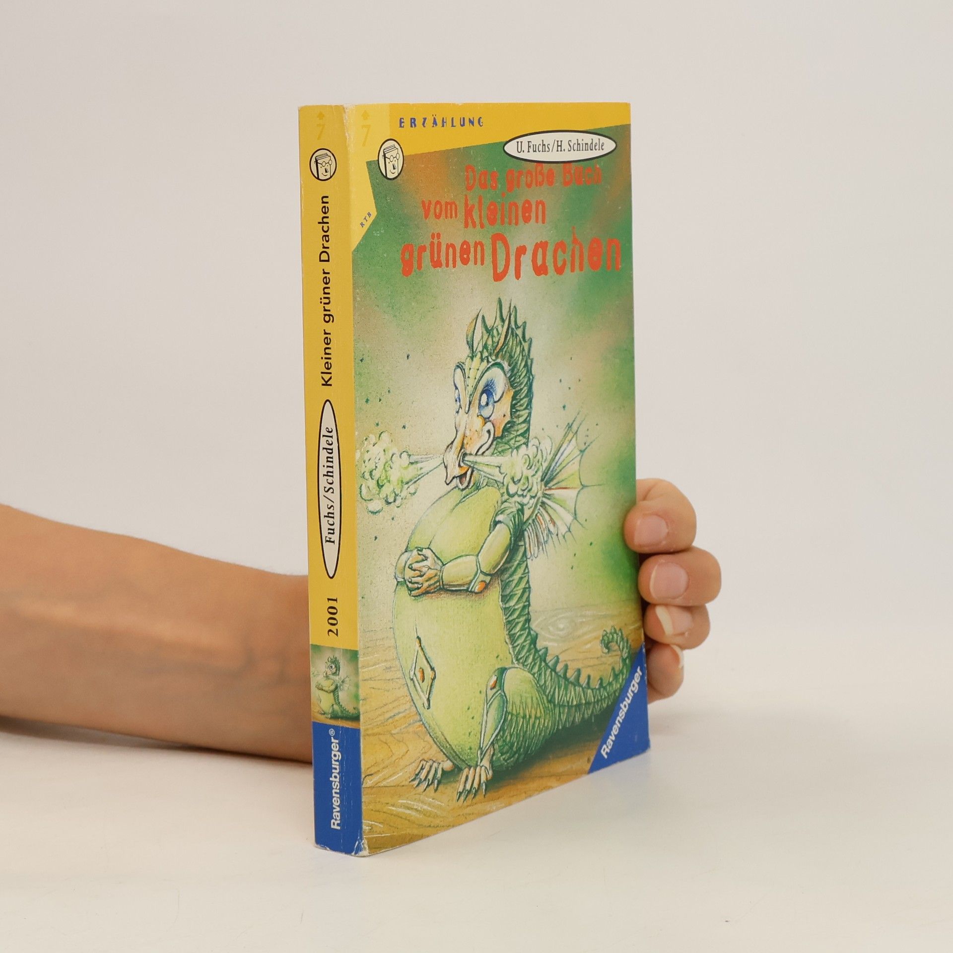 Ursula Fuchs Das grosse Buch vom kleinen grünen Drachen