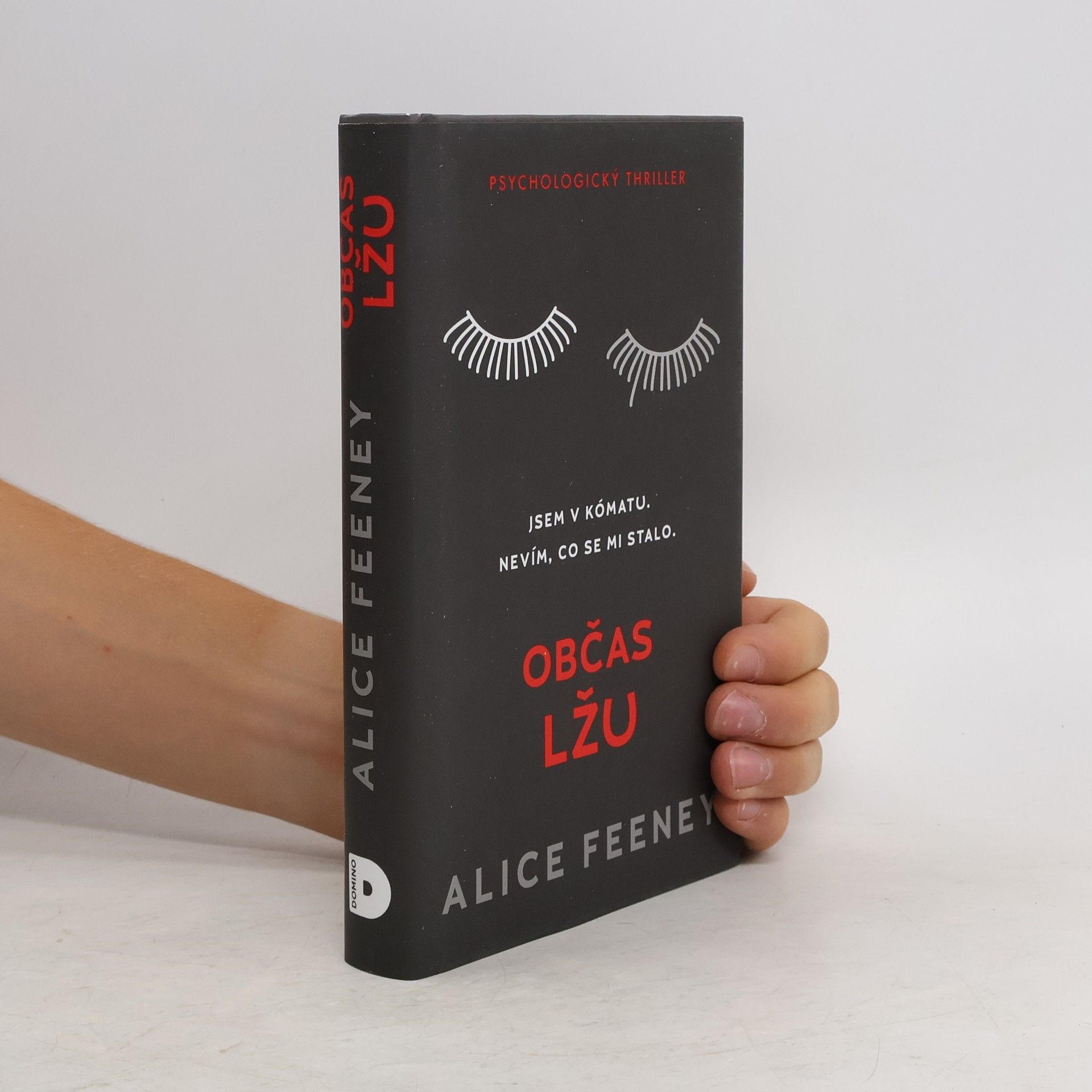 Alice Feeney Občas lžu