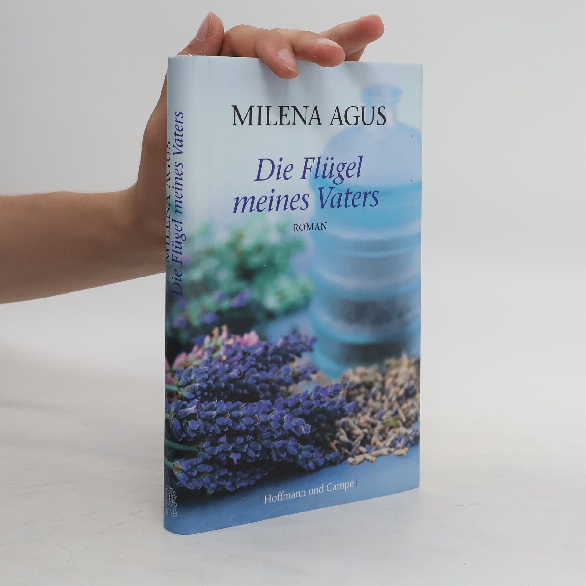 Milena Agus Die Flügel meines Vaters