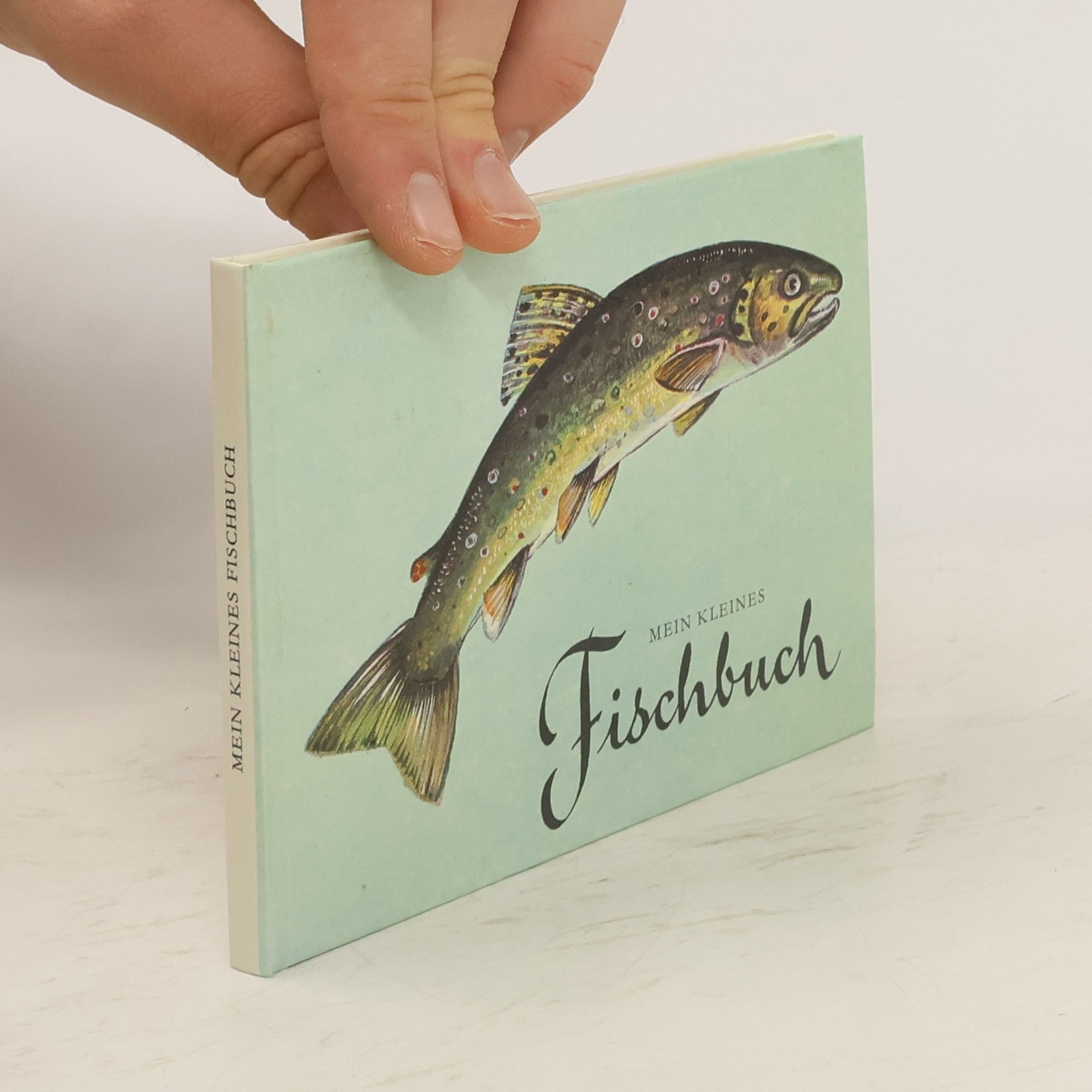 Collectif d'auteurs Mein kleines Fischbuch