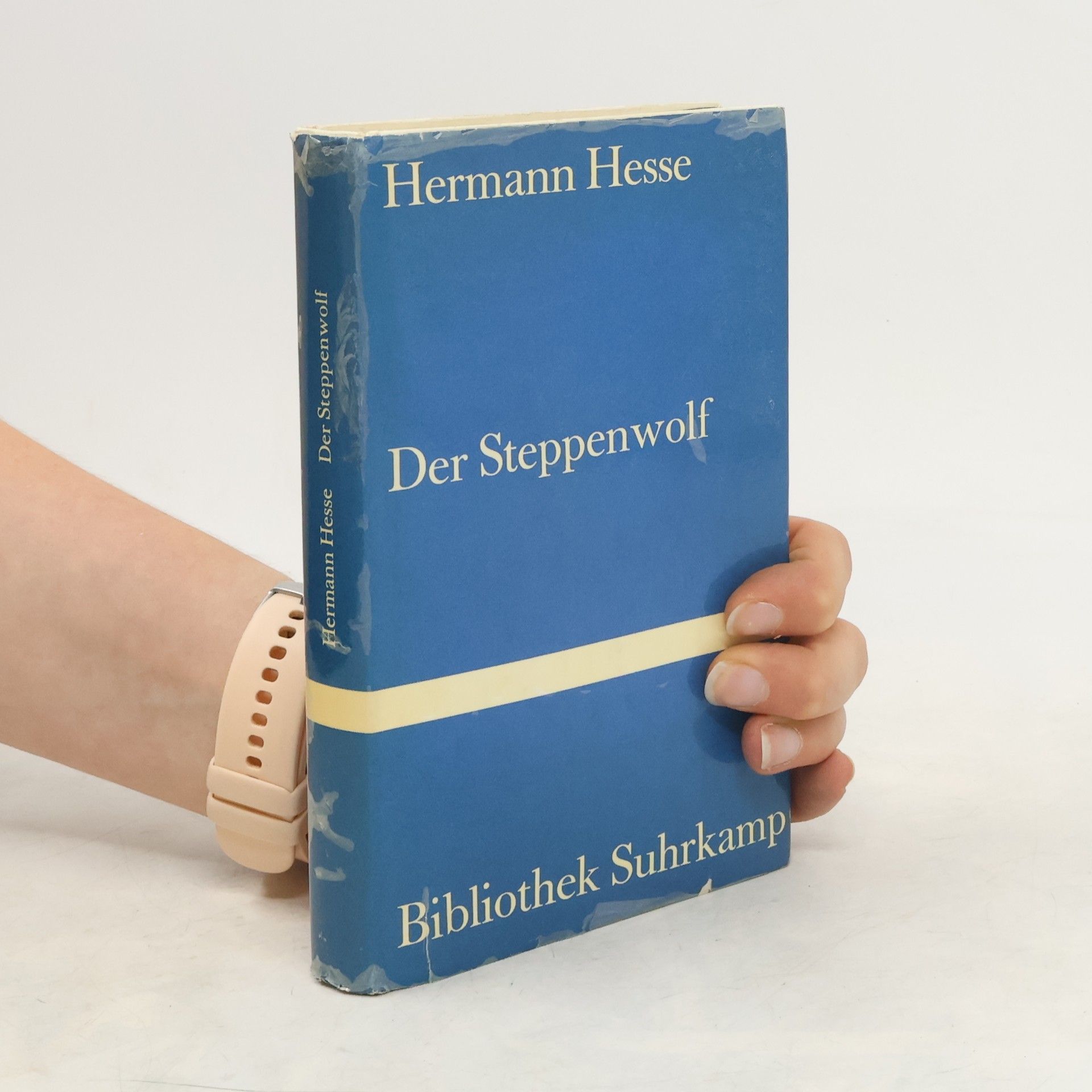 Hermann Hesse Der Steppenwolf