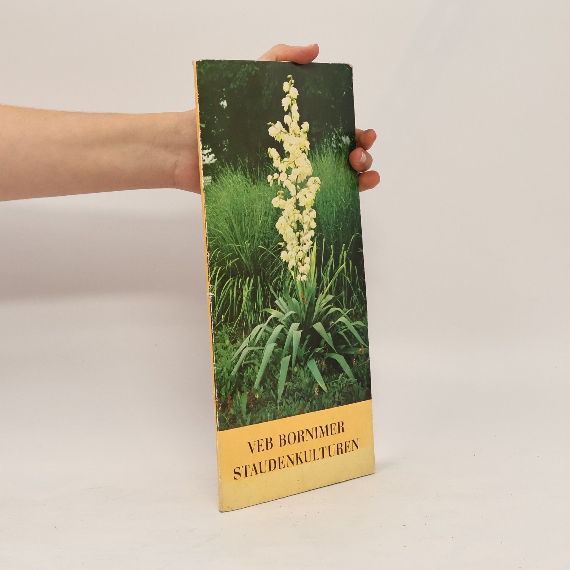 Collectif d'auteurs VEB Bornimer Staudenkulturen