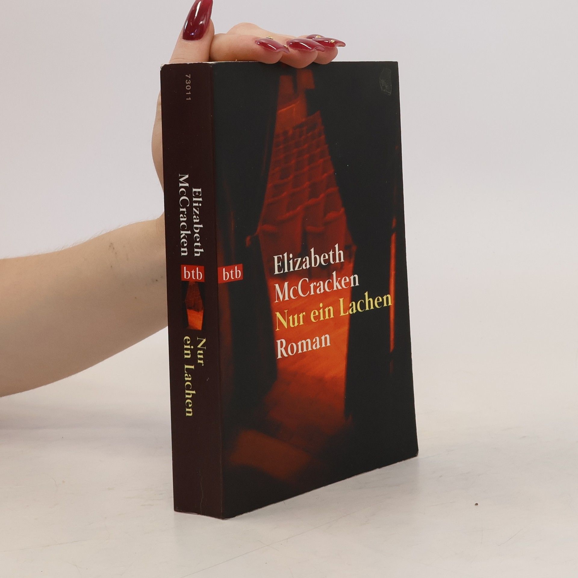 Elizabeth McCracken Nur ein Lachen