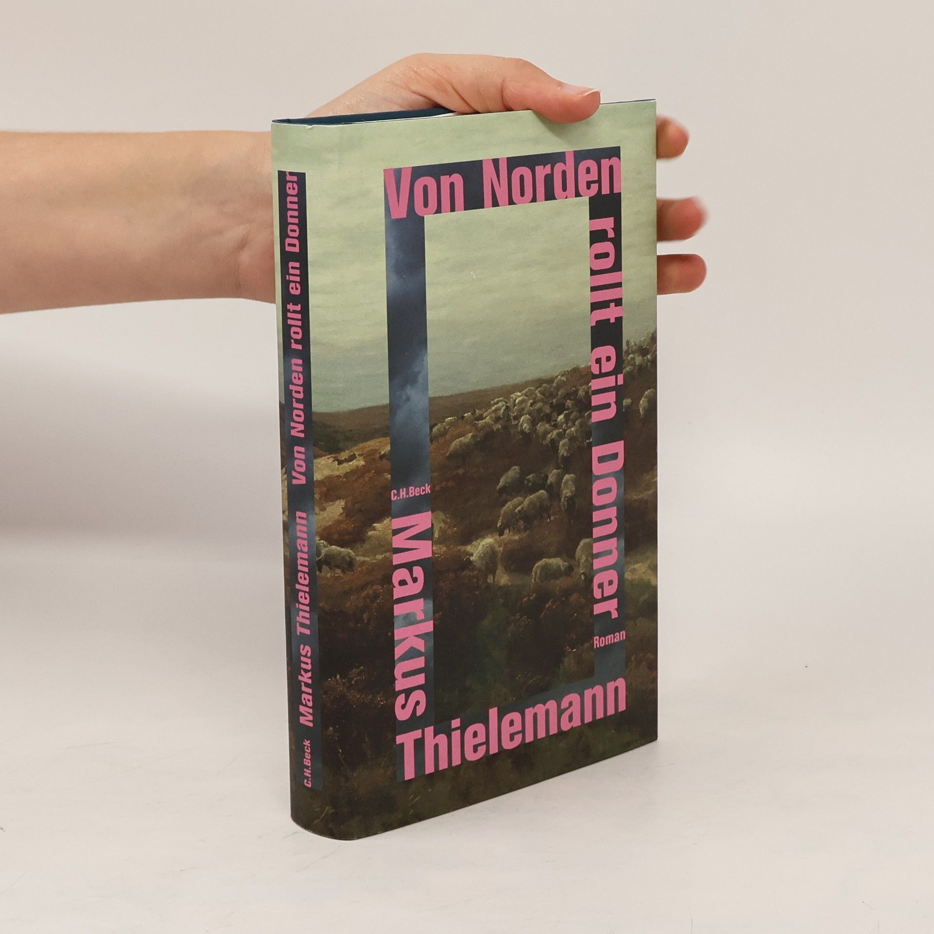 Markus Thielemann Von Norden rollt ein Donner