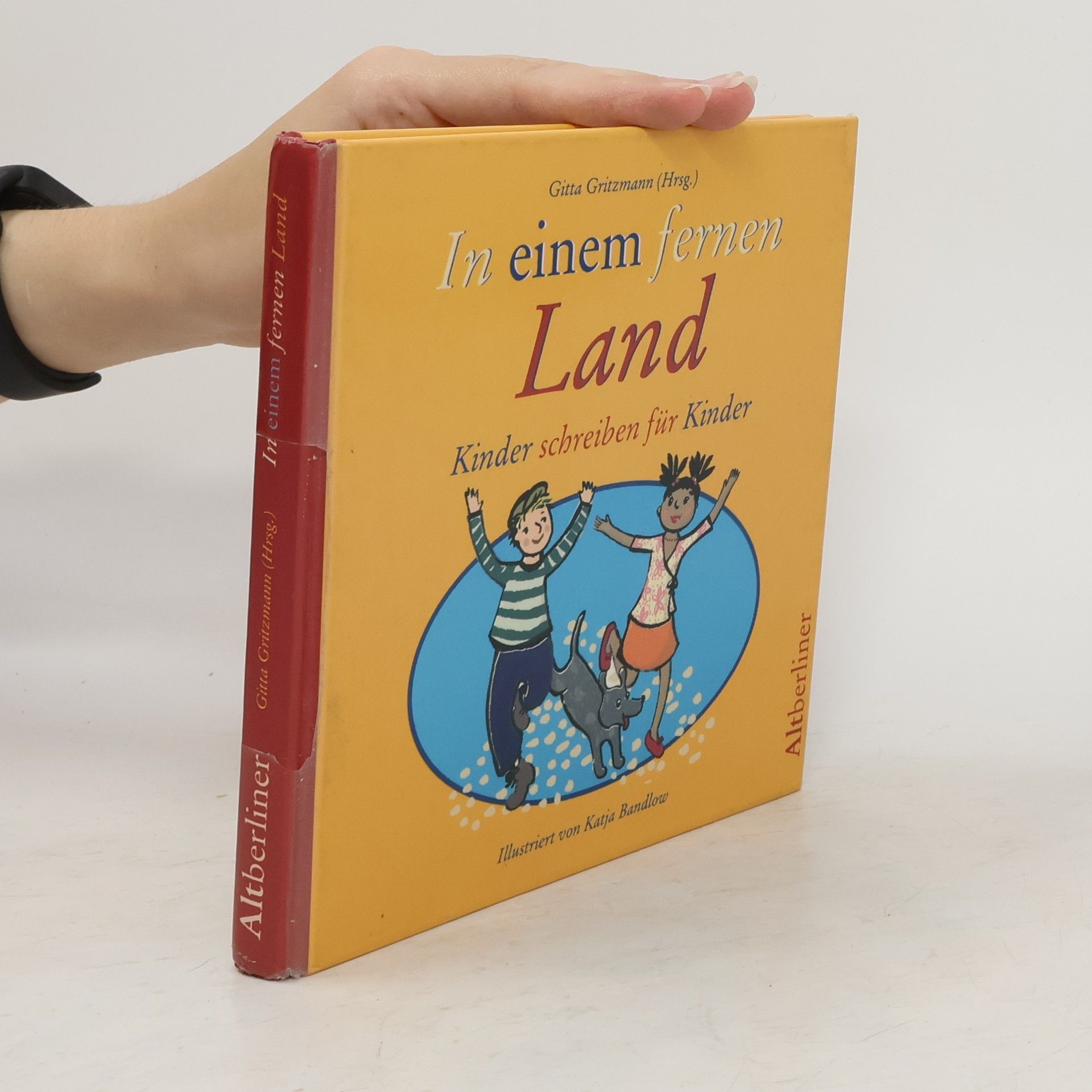 Gitta Gritzmann In einem fernen Land
