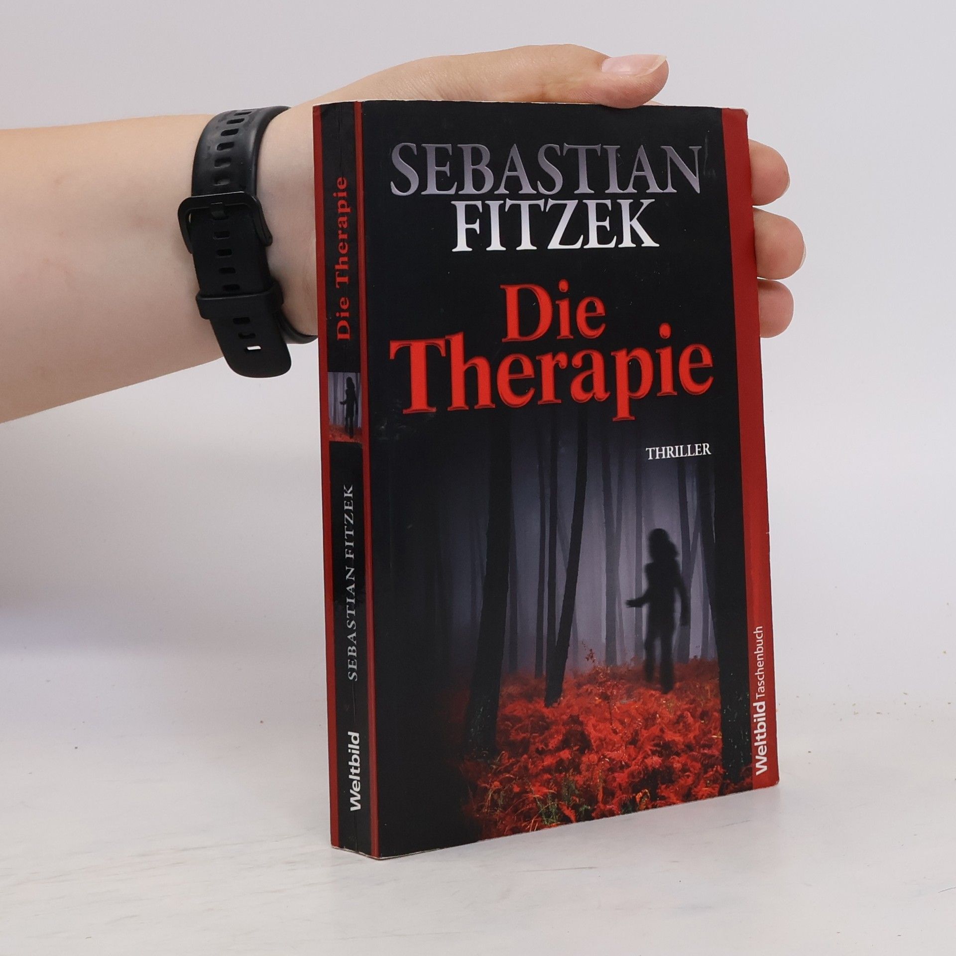Sebastian Fitzek Die Therapie