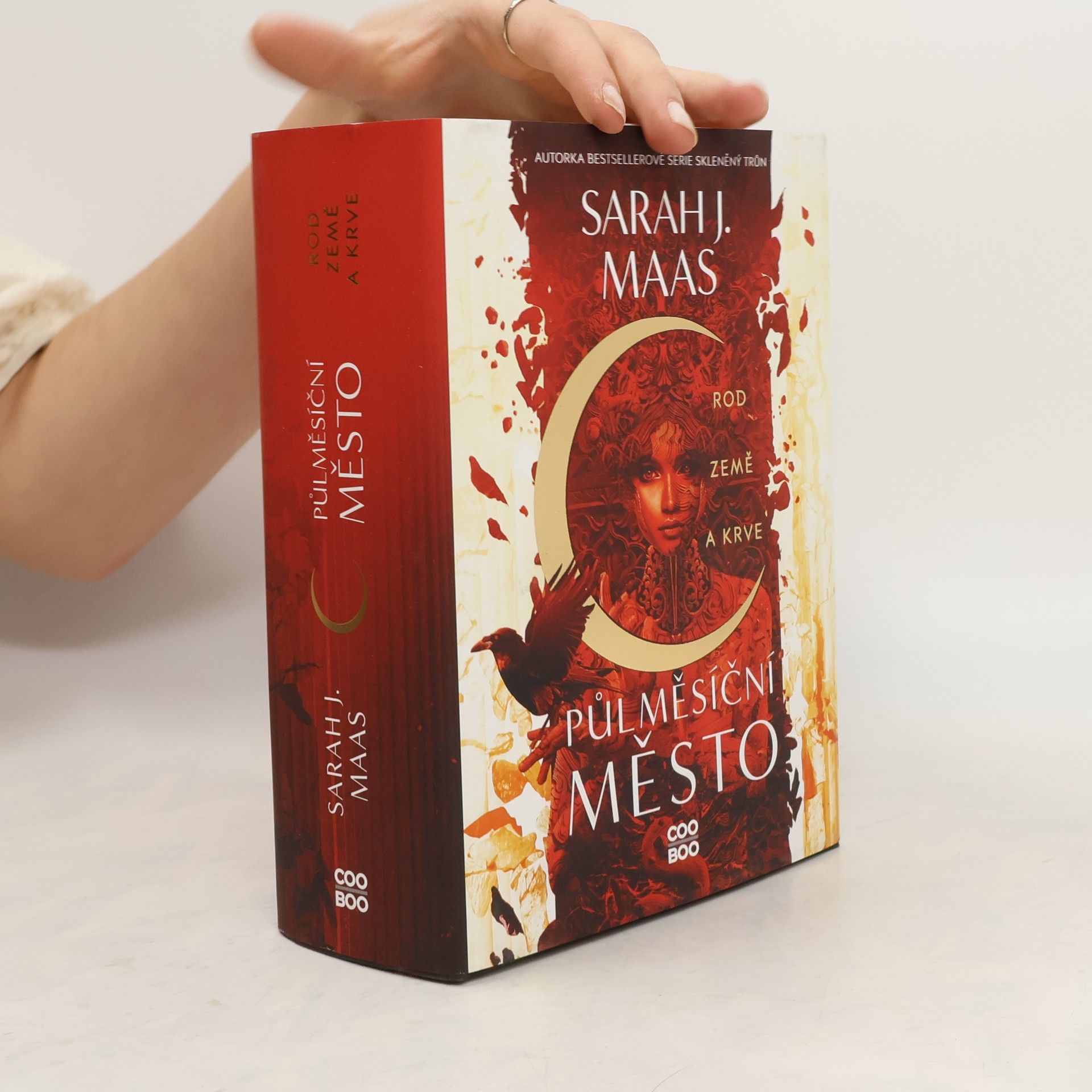 Sarah J. Maas Rod země a krve