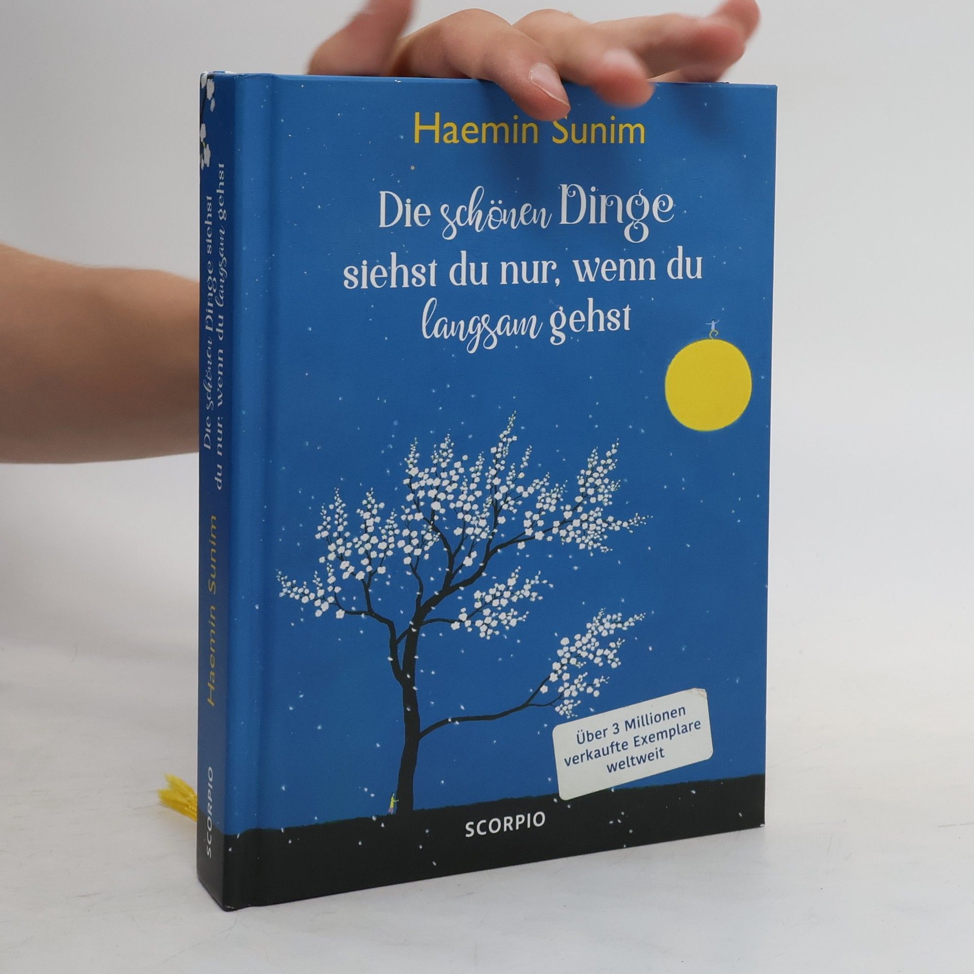 Haemin Die schönen Dinge siehst du nur, wenn du langsam gehst