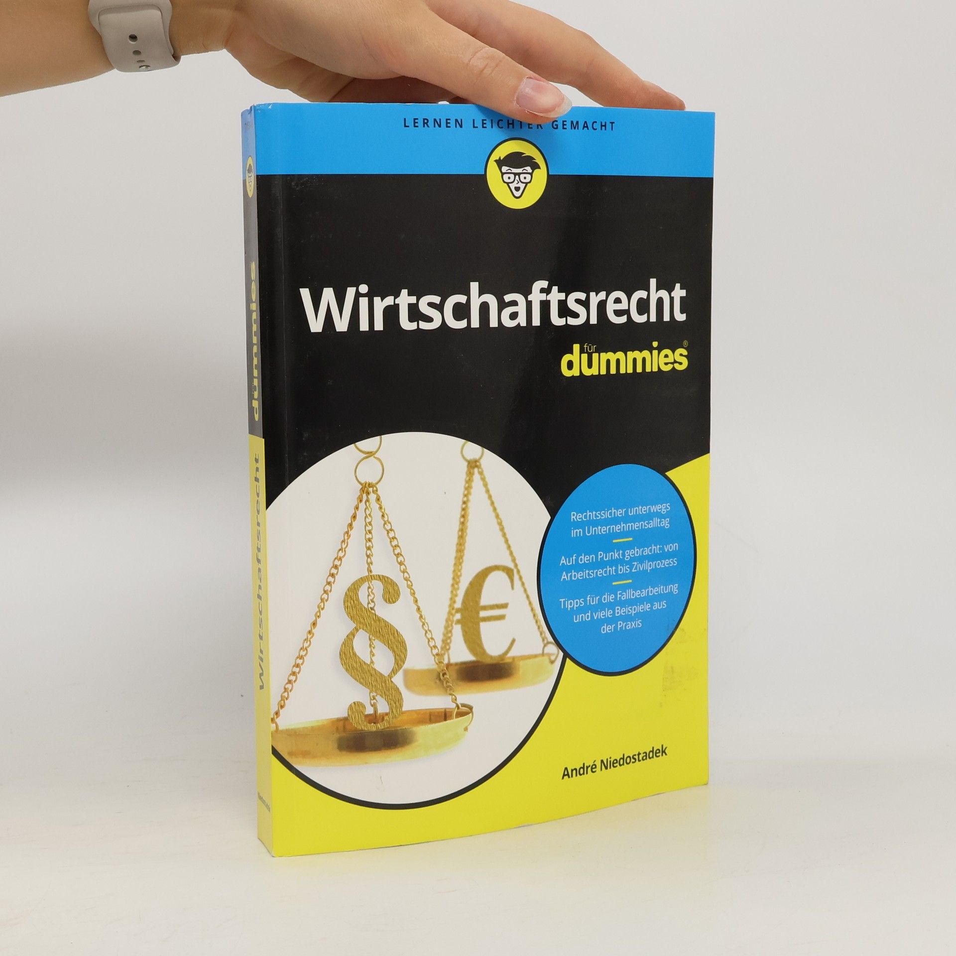 Andre Niedostadek Wirtschaftsrecht für Dummies