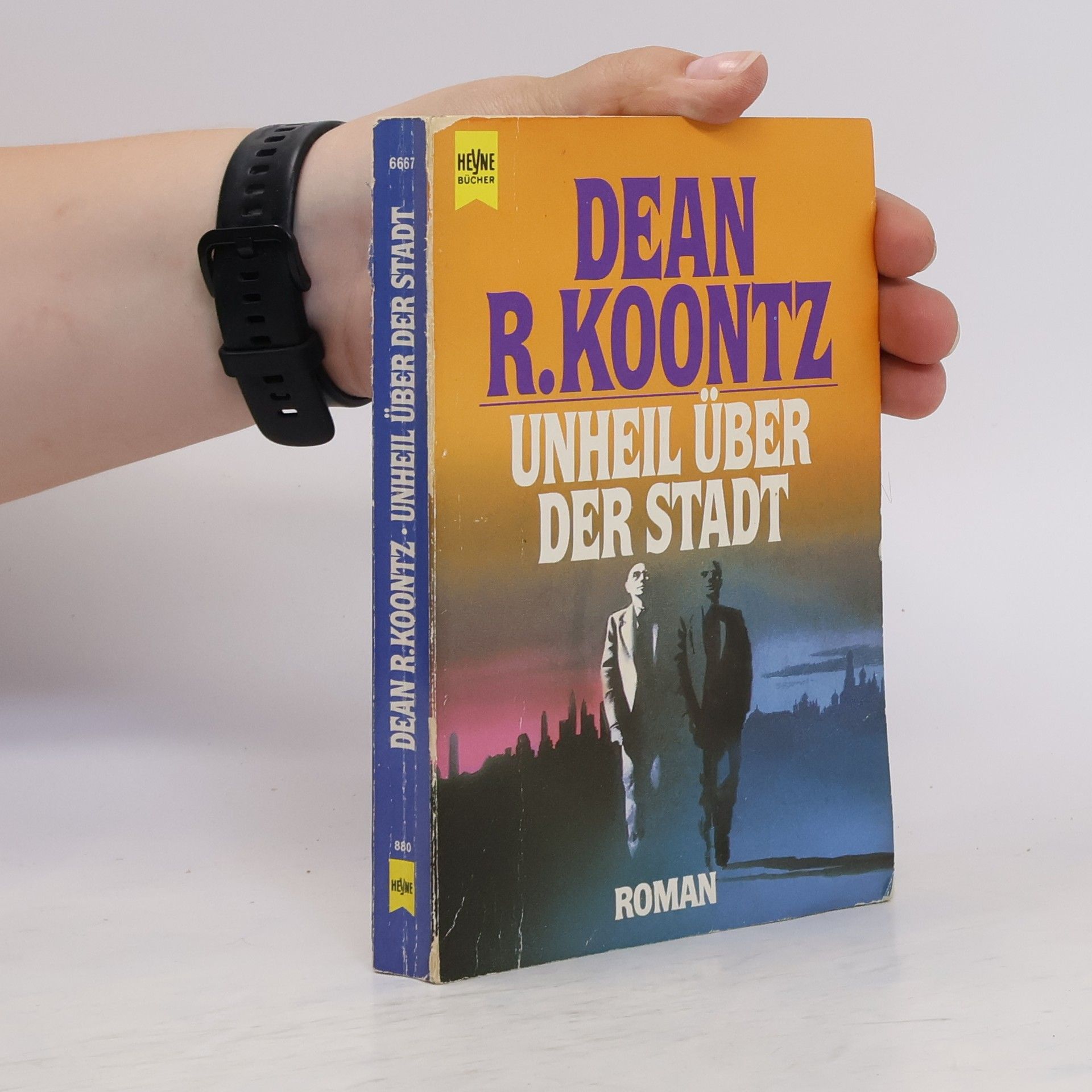 Dean R. Koontz Unheil über der Stadt