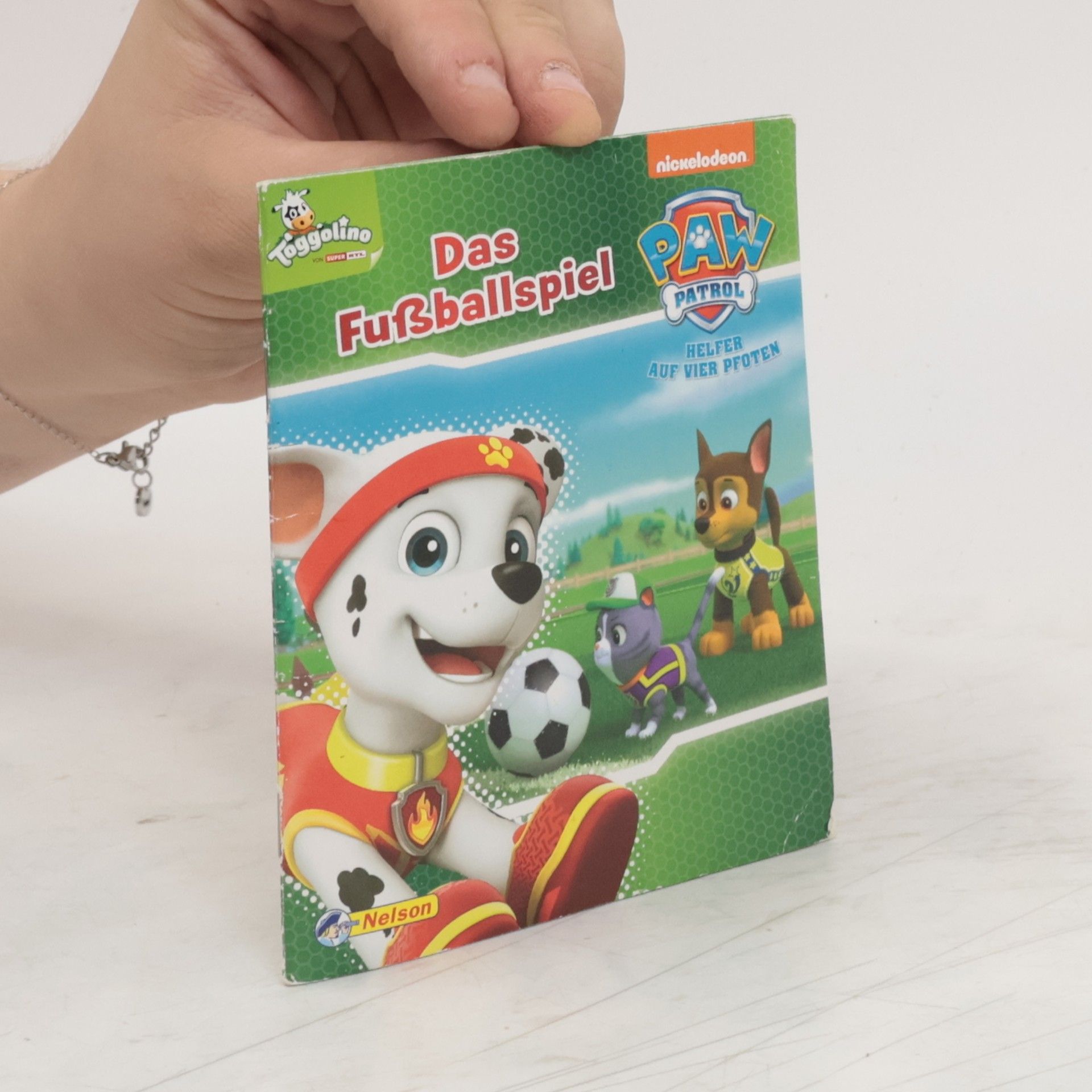 kolektiv Paw Patrol. Das Fußballspiel