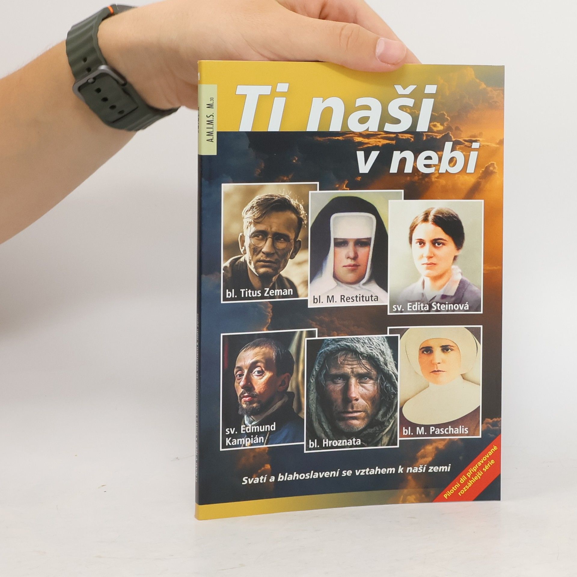 kolektiv Ti naši v nebi