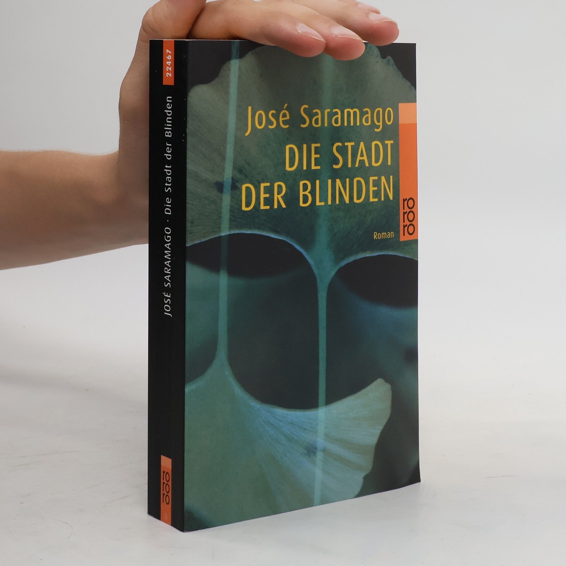 José Saramago Die Stadt der Blinden