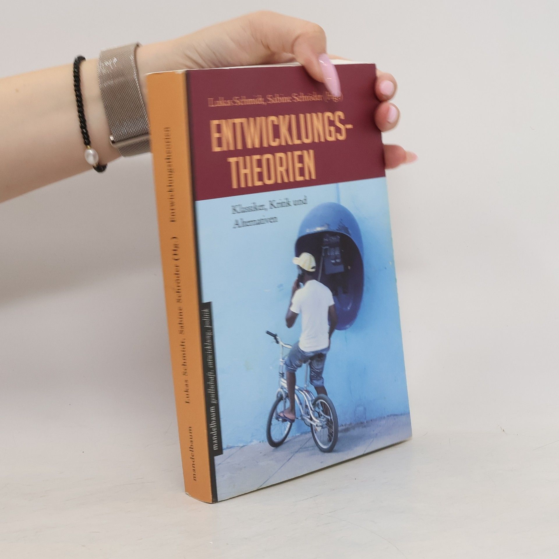 Lukas Schmidt Entwicklungstheorien