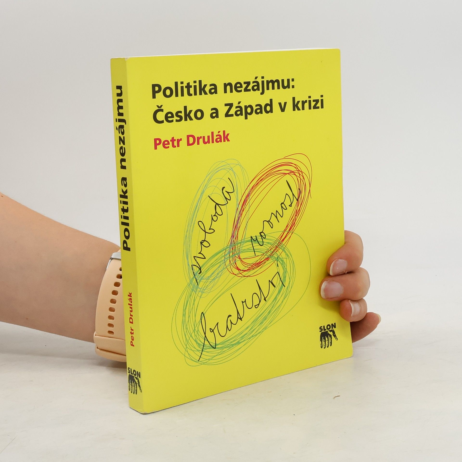 Petr Drulák Politika nezájmu