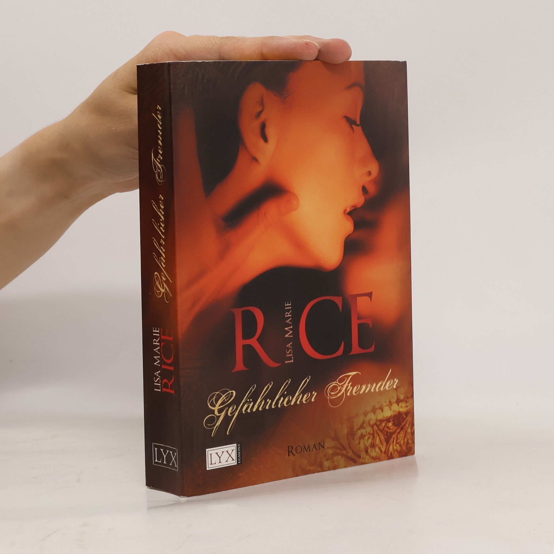 Lisa Marie Rice Gefährlicher Fremder