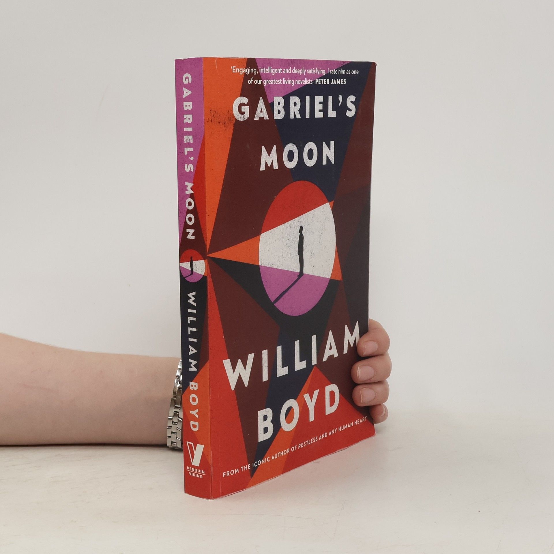 William Boyd Gabriel's Moon