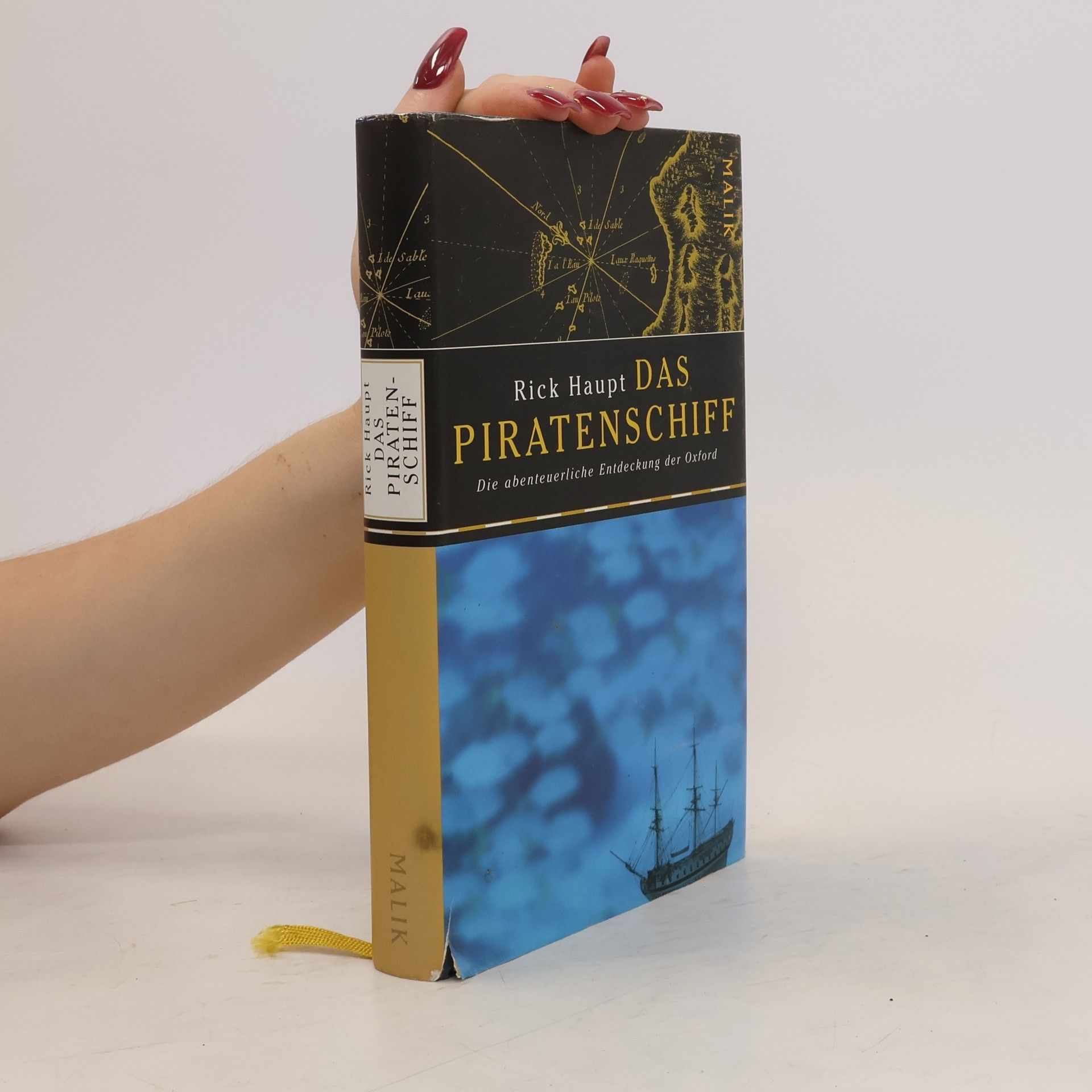 Rick Haupt Das Piratenschiff