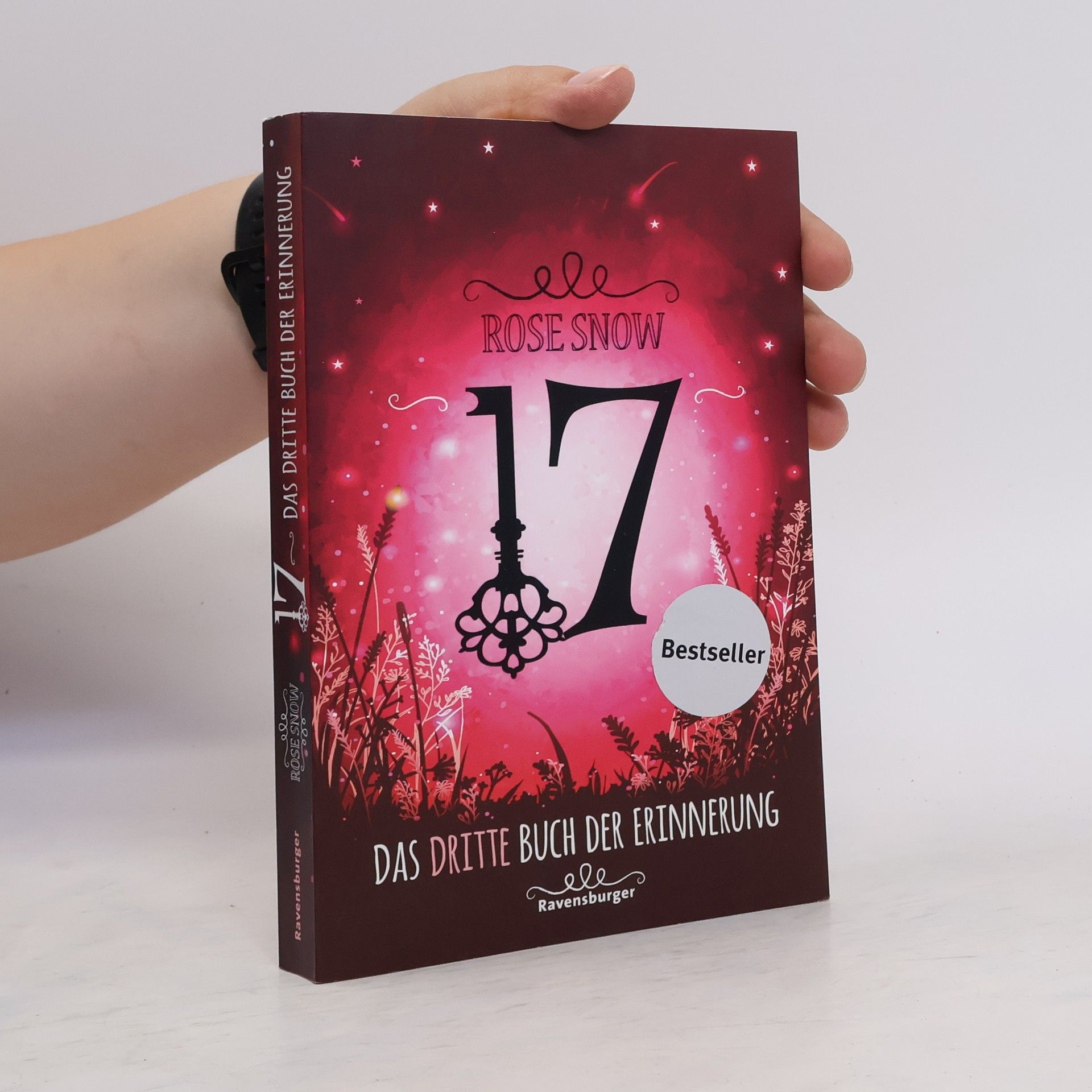 Rosie Snow 17: Das dritte Buch der Erinnerung