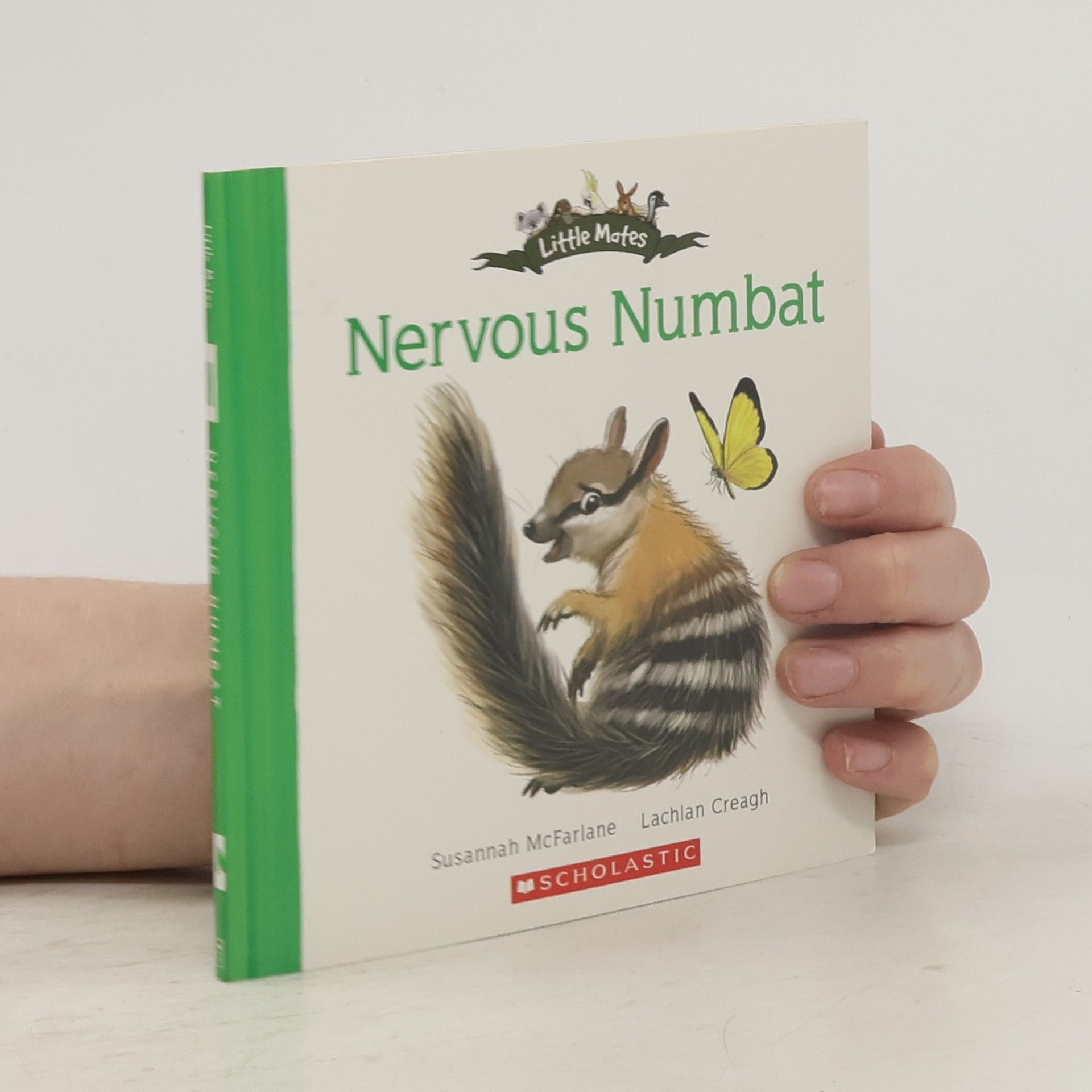 Susannah McFarlane Nervous Numbat