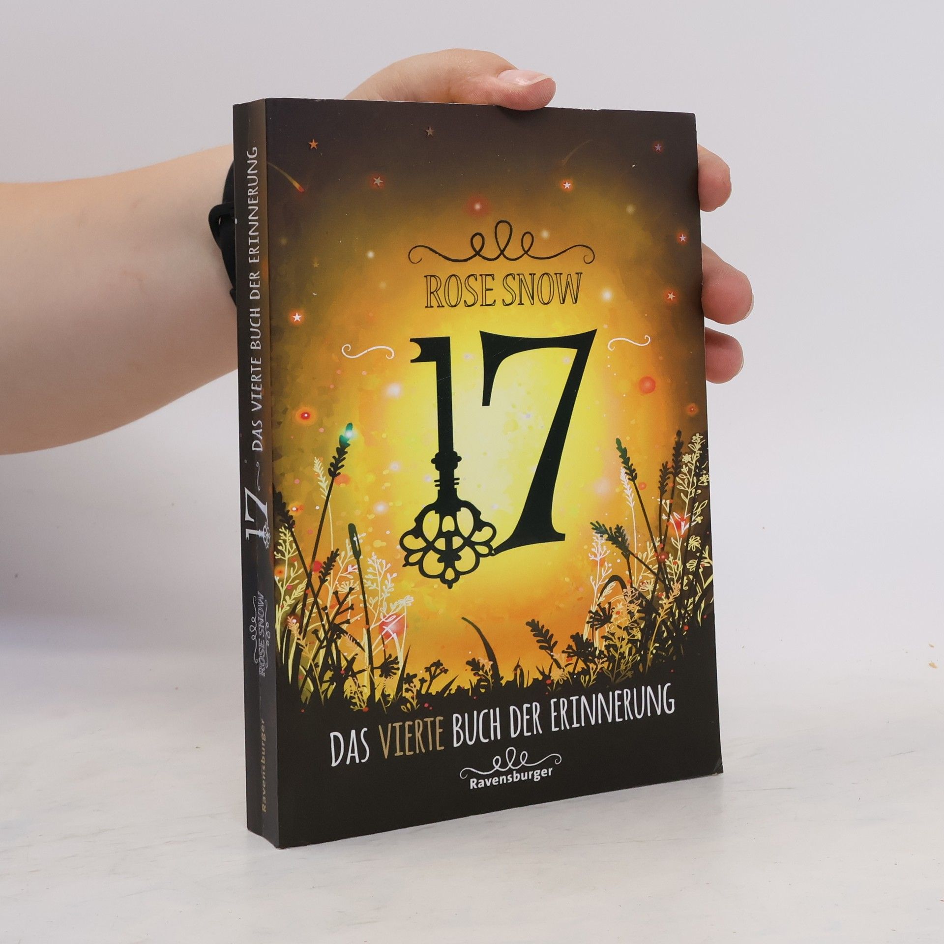 Rose Snow 17: Das vierte Buch der Erinnerung