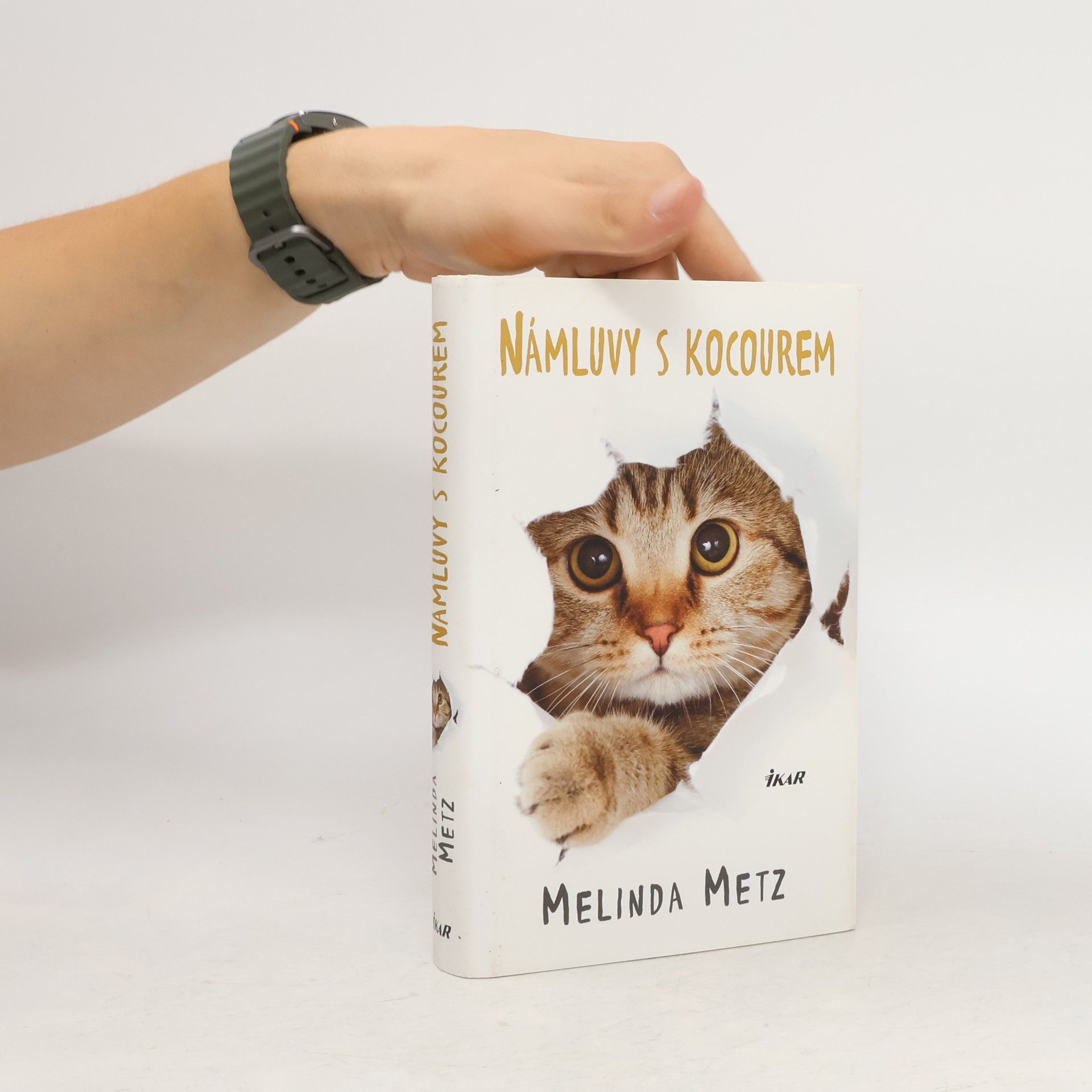 Melinda Metz Námluvy s kocourem