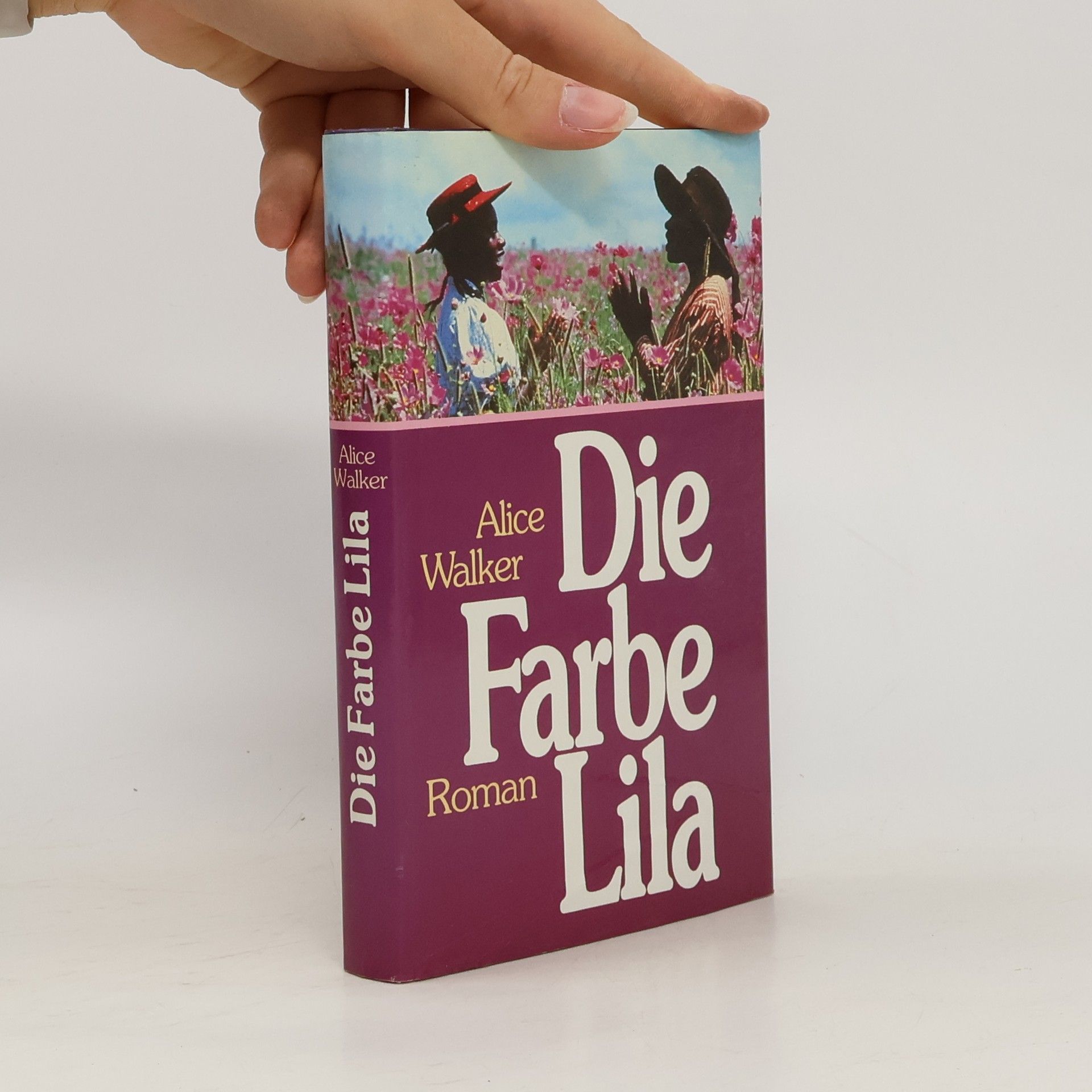 Alice Walker Die Farbe Lila