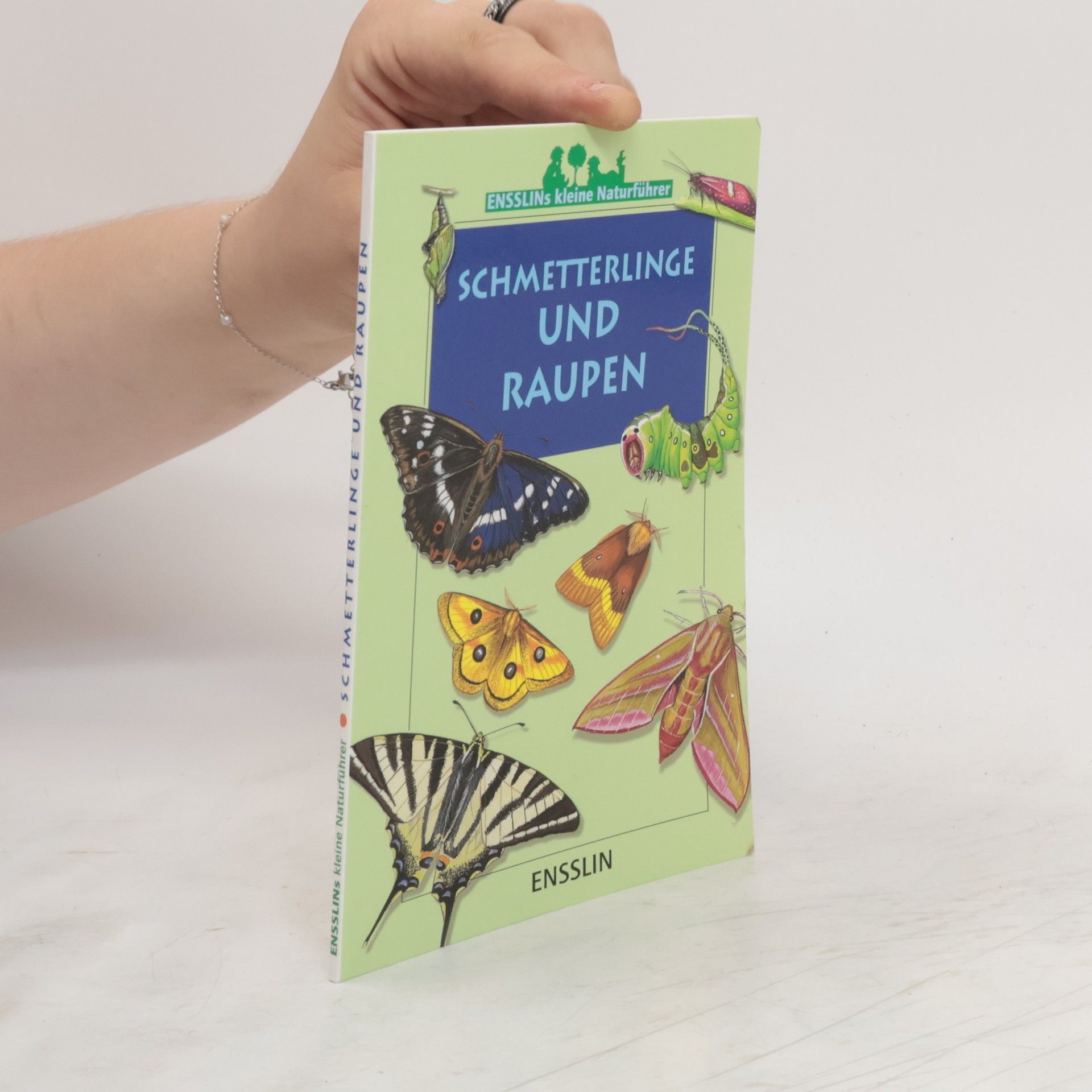 Léon Rogez Schmetterlinge und Raupen