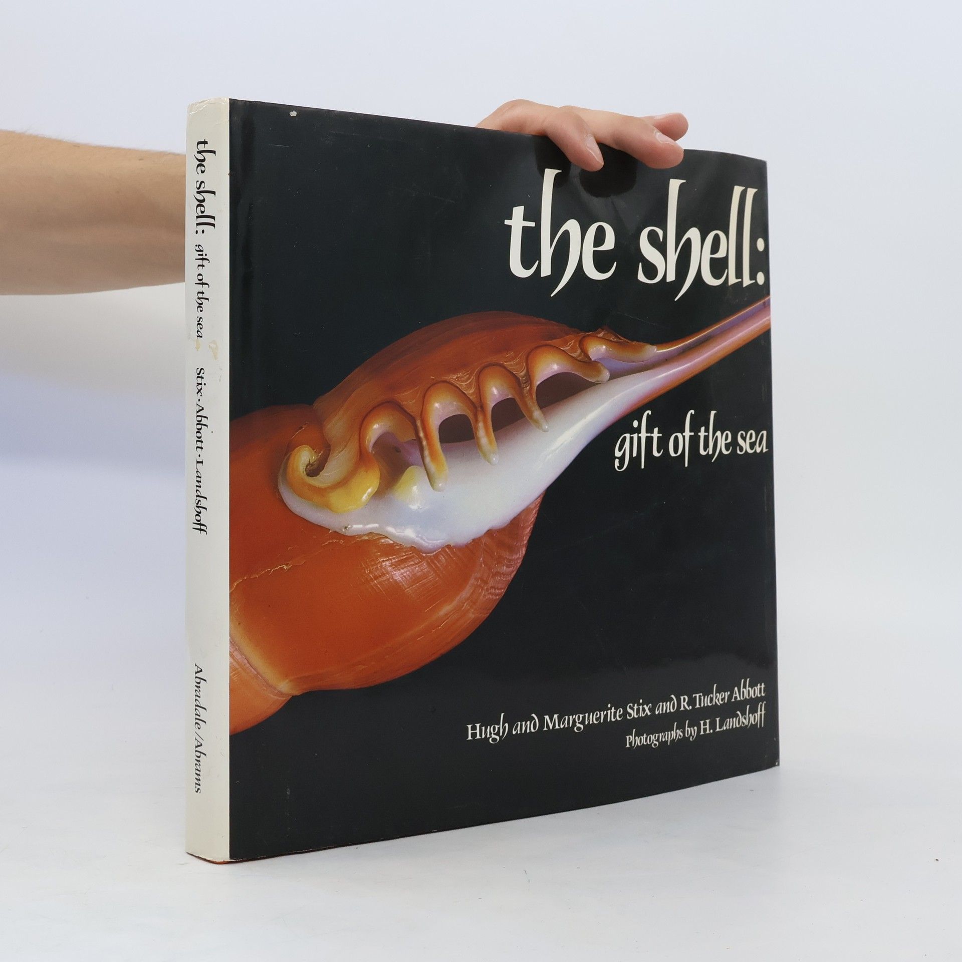 Hugh Stix The Shell