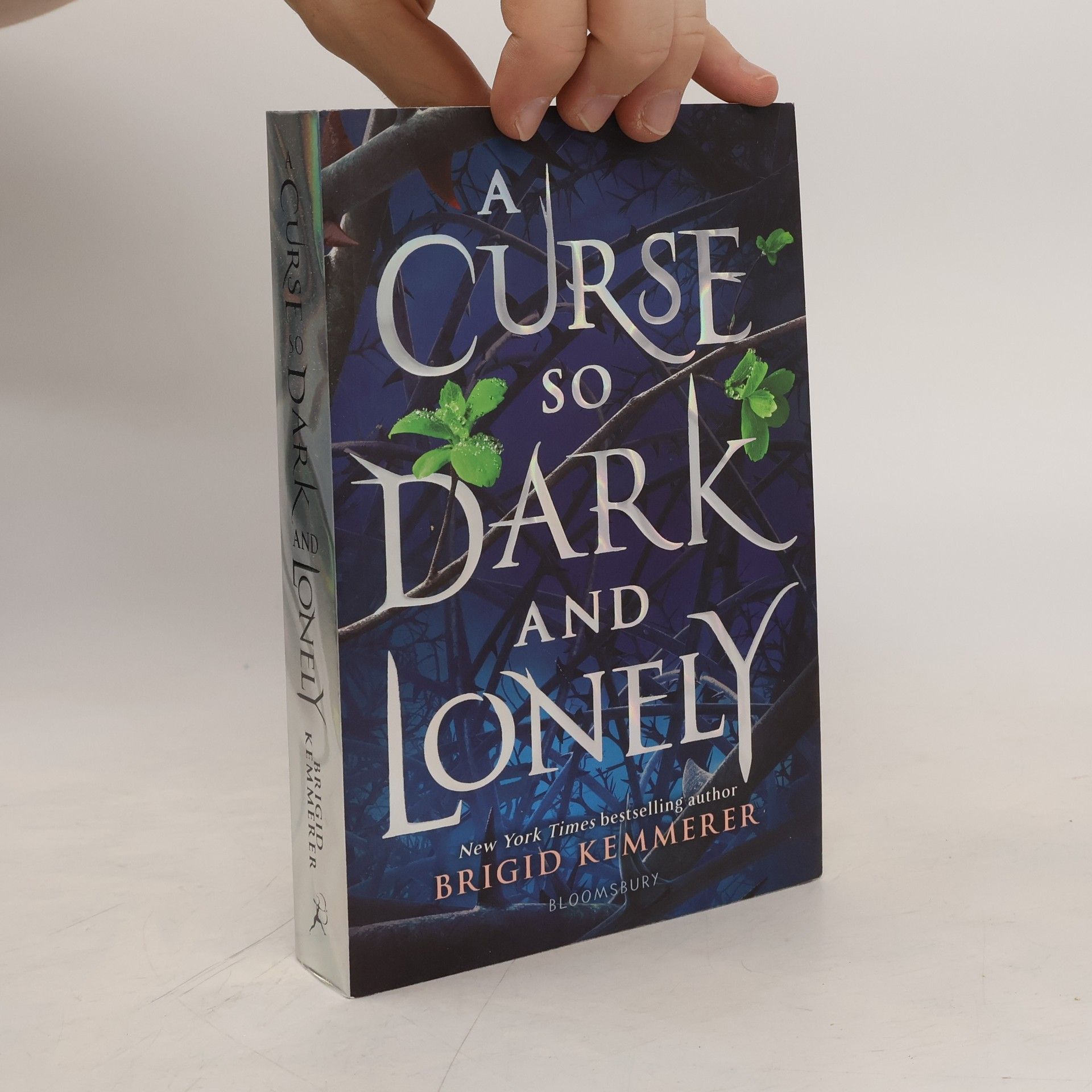 Brigid Kemmerer A curse so dark and lonely (1. díl série)