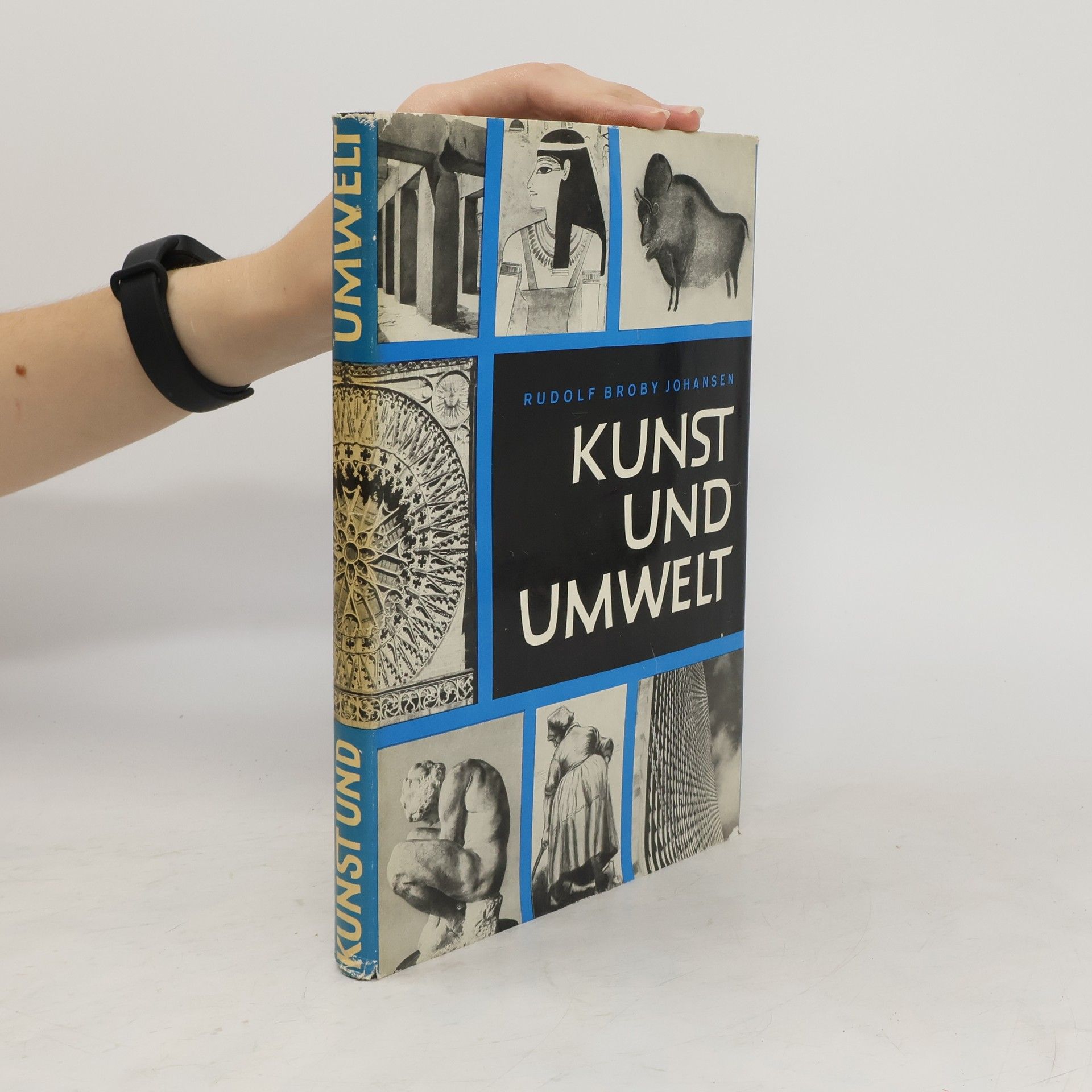 Rudolf Broby Johansen Kunst und Umwelt