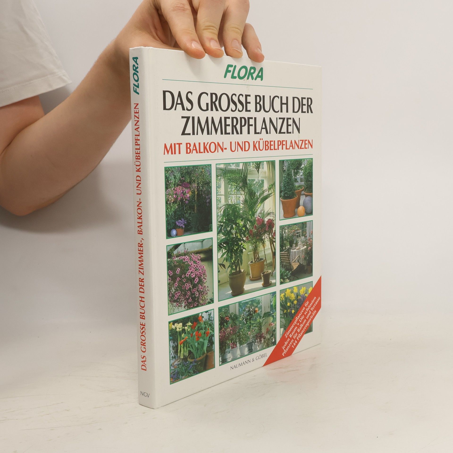 Johannes Haller Das große Buch der Zimmer-, Balkon- und Kübelpflanzen