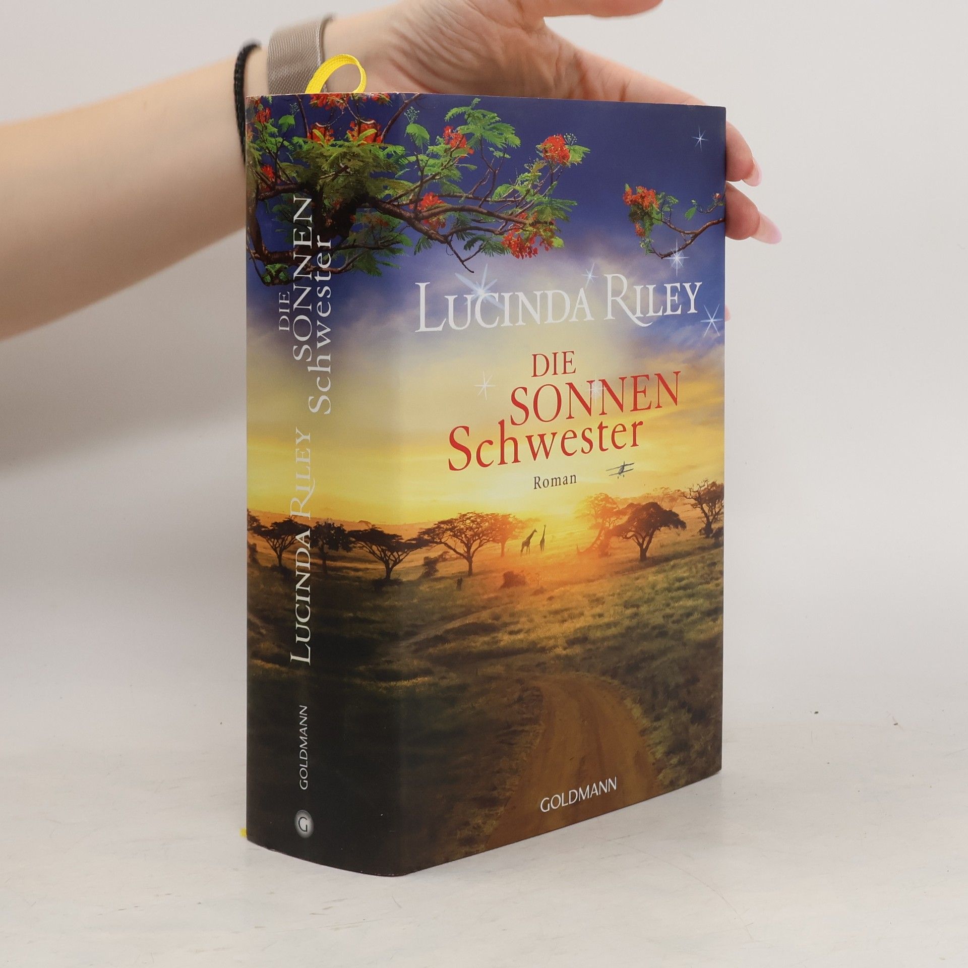 Lucinda Riley Die Sonnenschwester