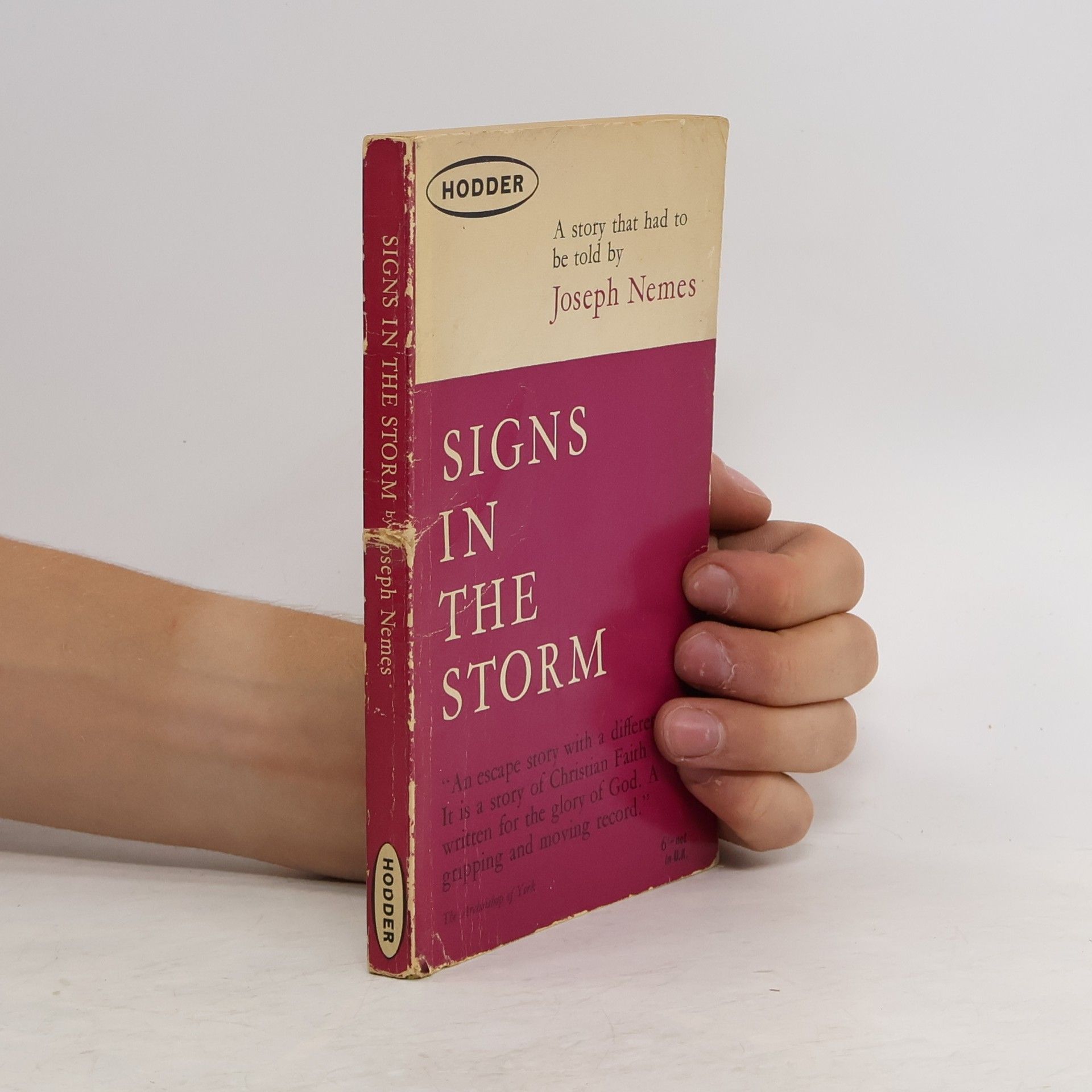 Joseph Nemes Signs in the Storm