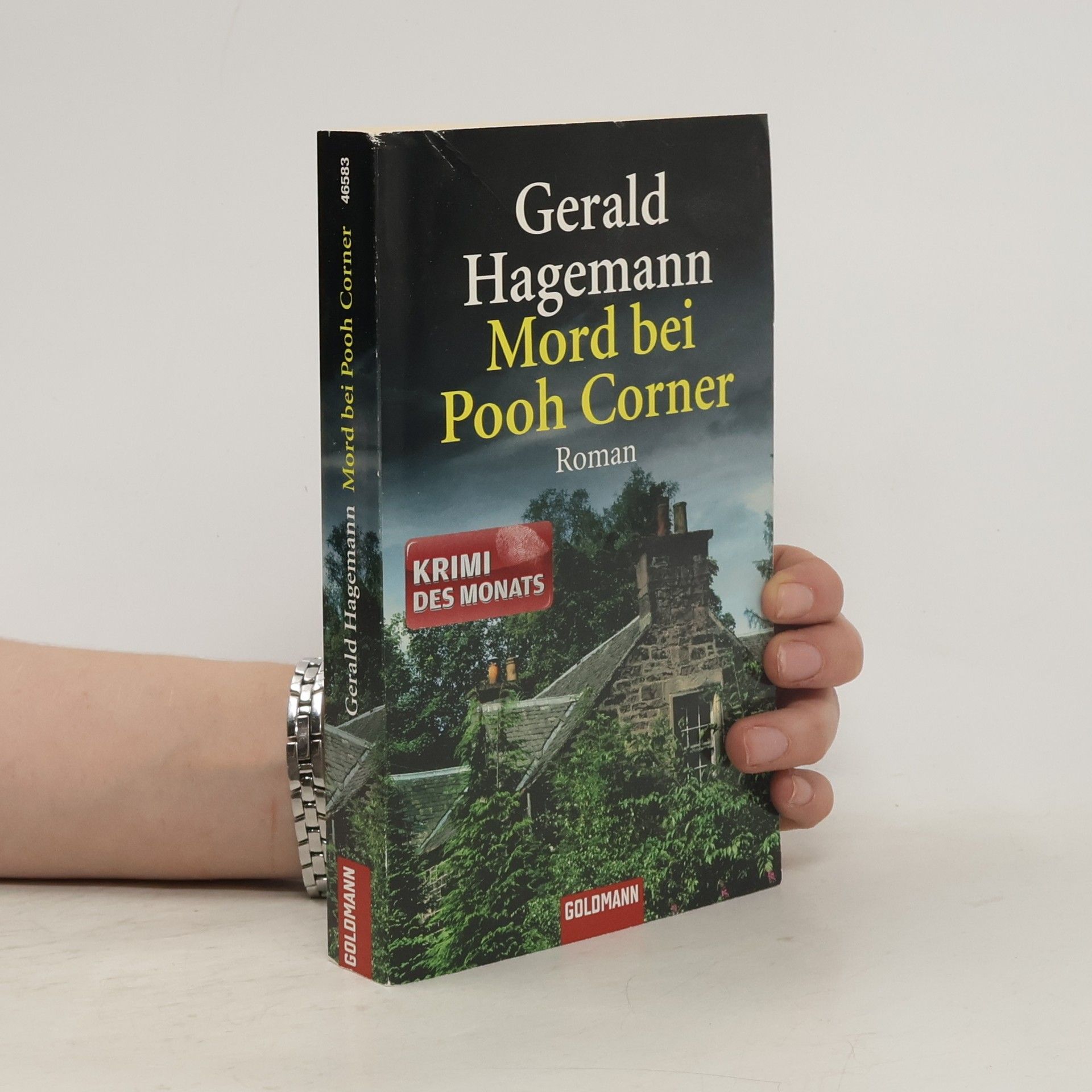 Gerald Hagemann Mord bei Pooh Corner