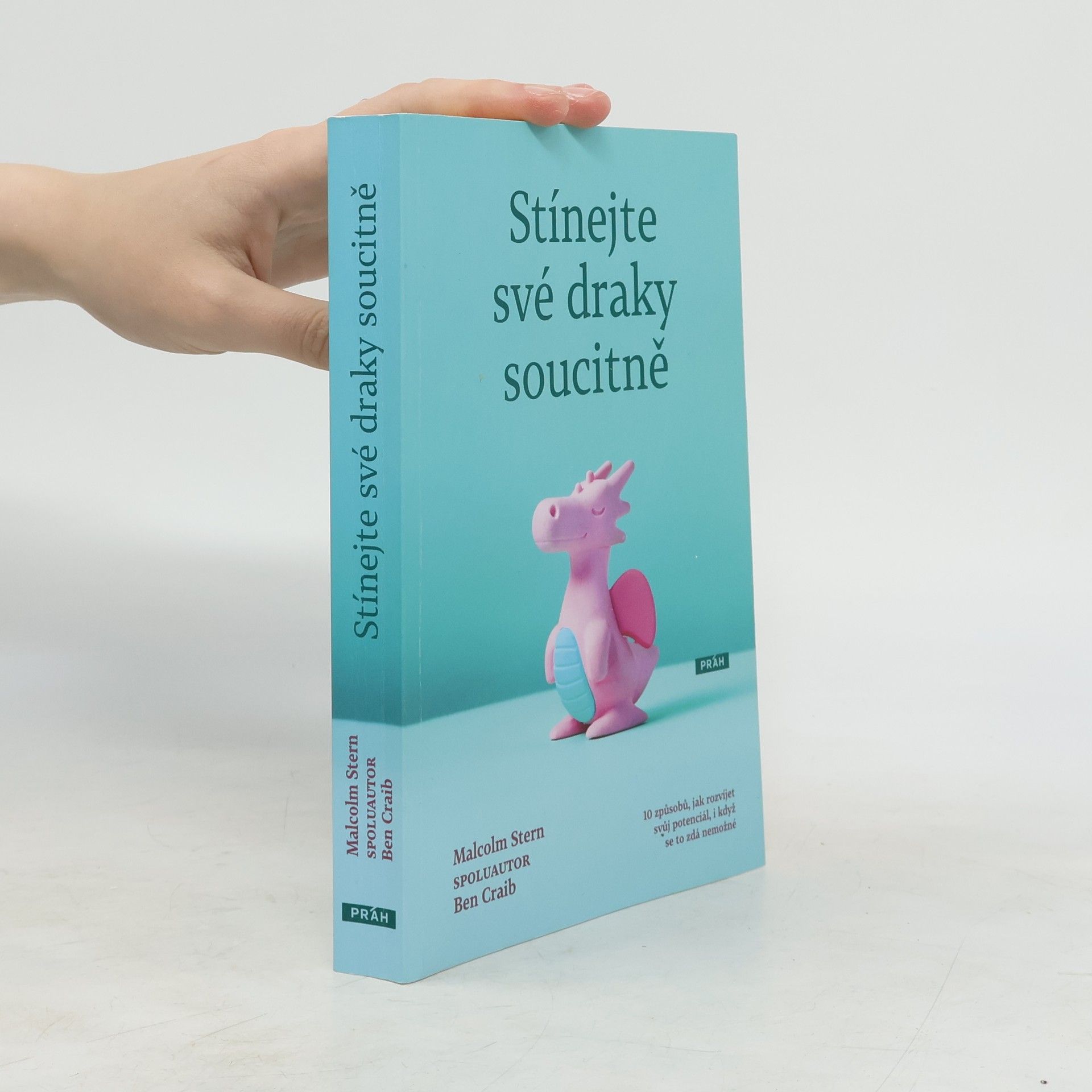 Malcolm Stern Stínejte své draky soucitně