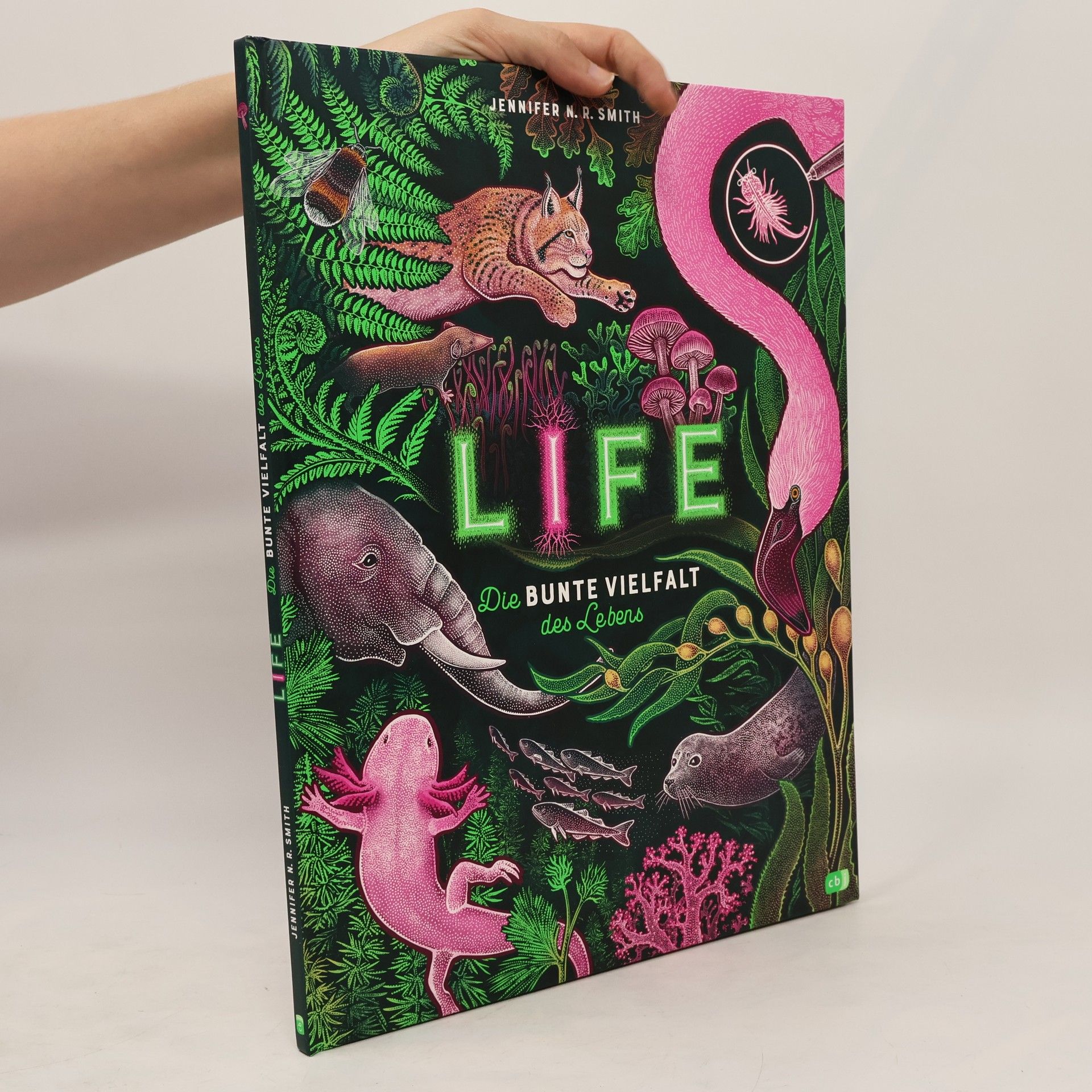 Jennifer N.R. Smith Life - die bunte Vielfalt des Lebens