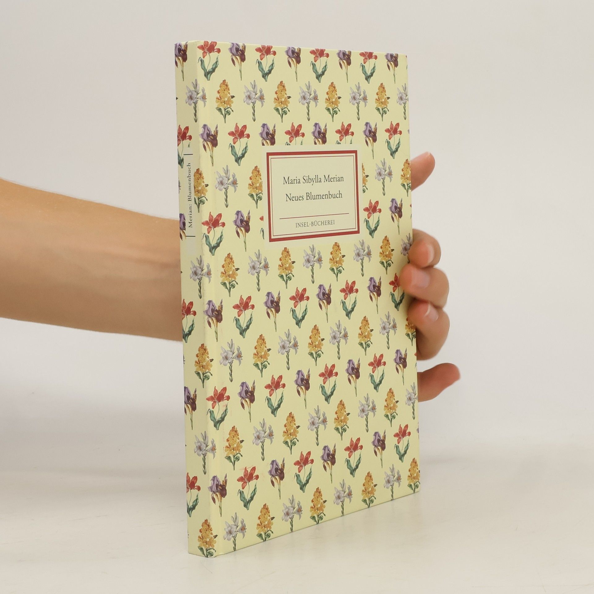 Maria Sibylla Merian Neues Blumenbuch