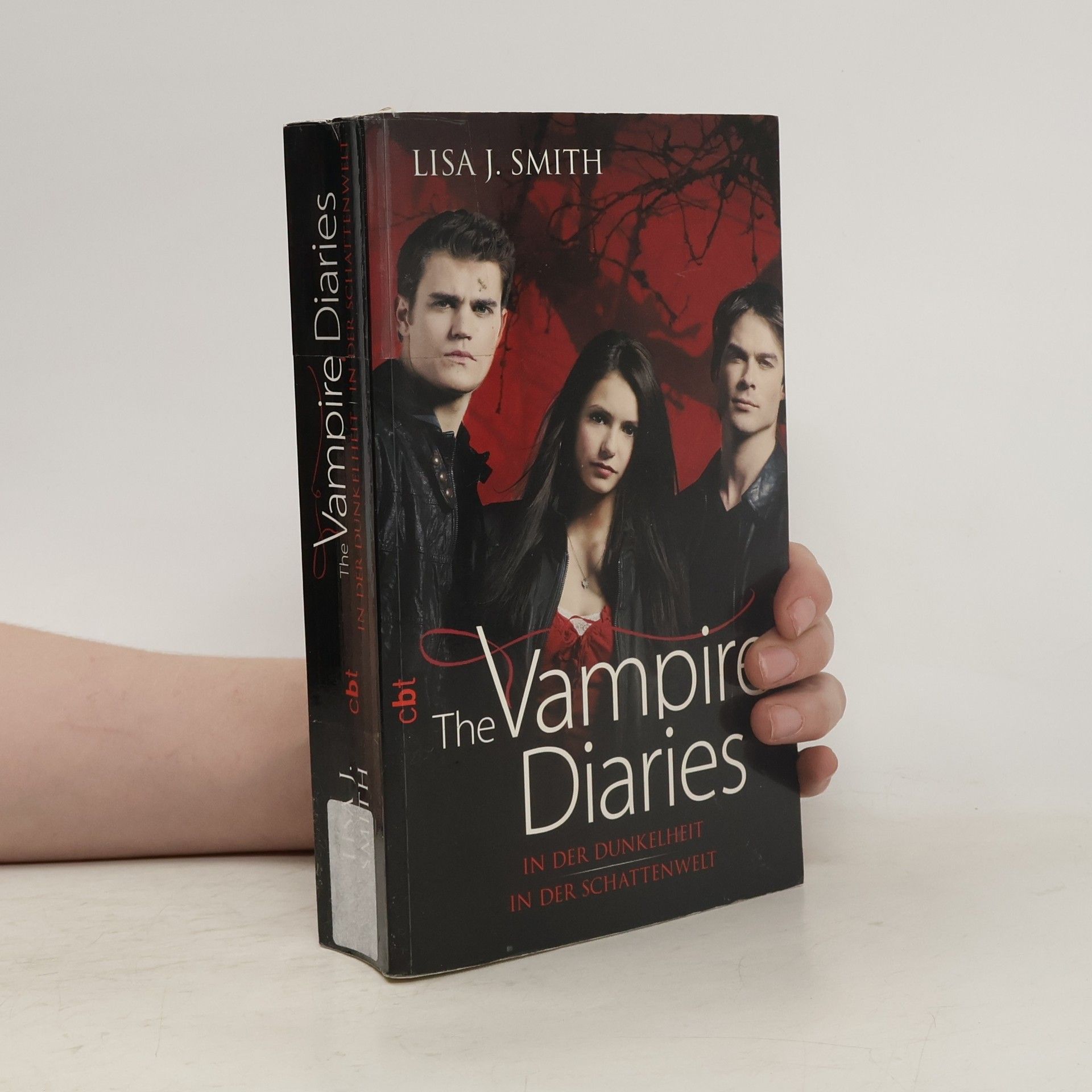 Lisa Jane Smith The vampire diaries - In der Dunkelheit