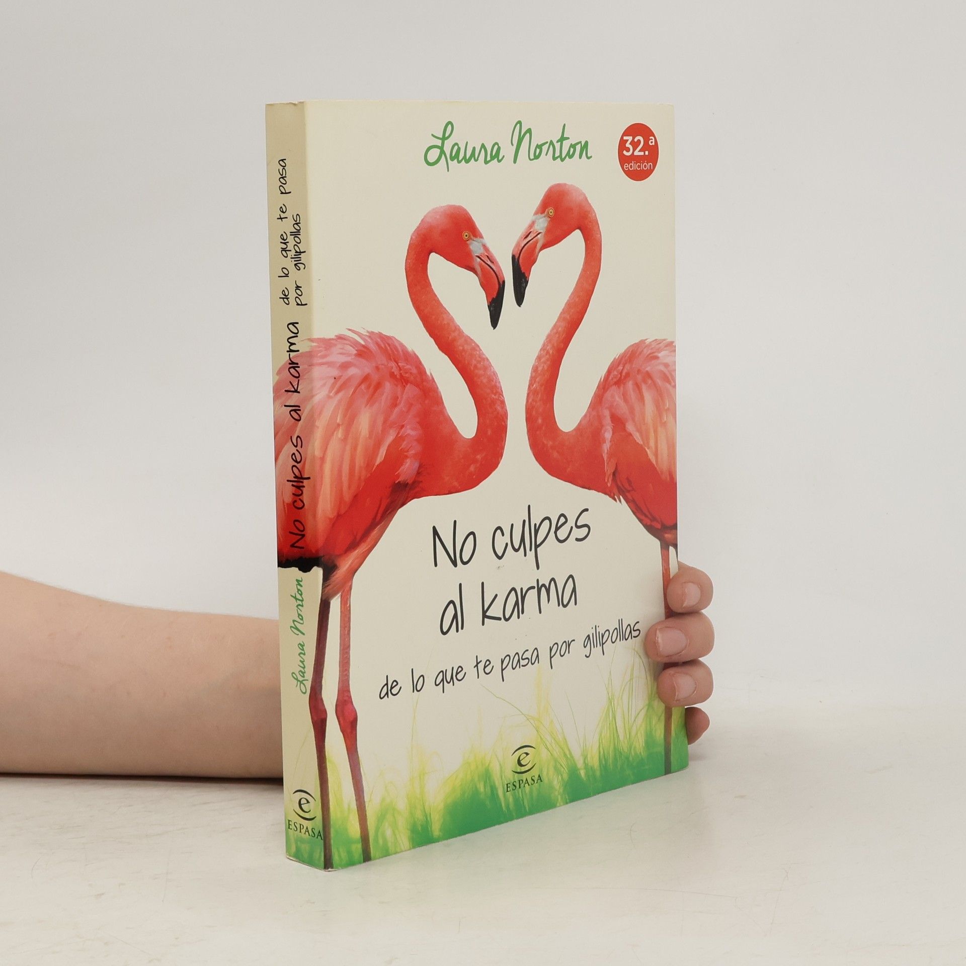 Laura Norton No culpes al karma de lo que te pasa por gilipollas