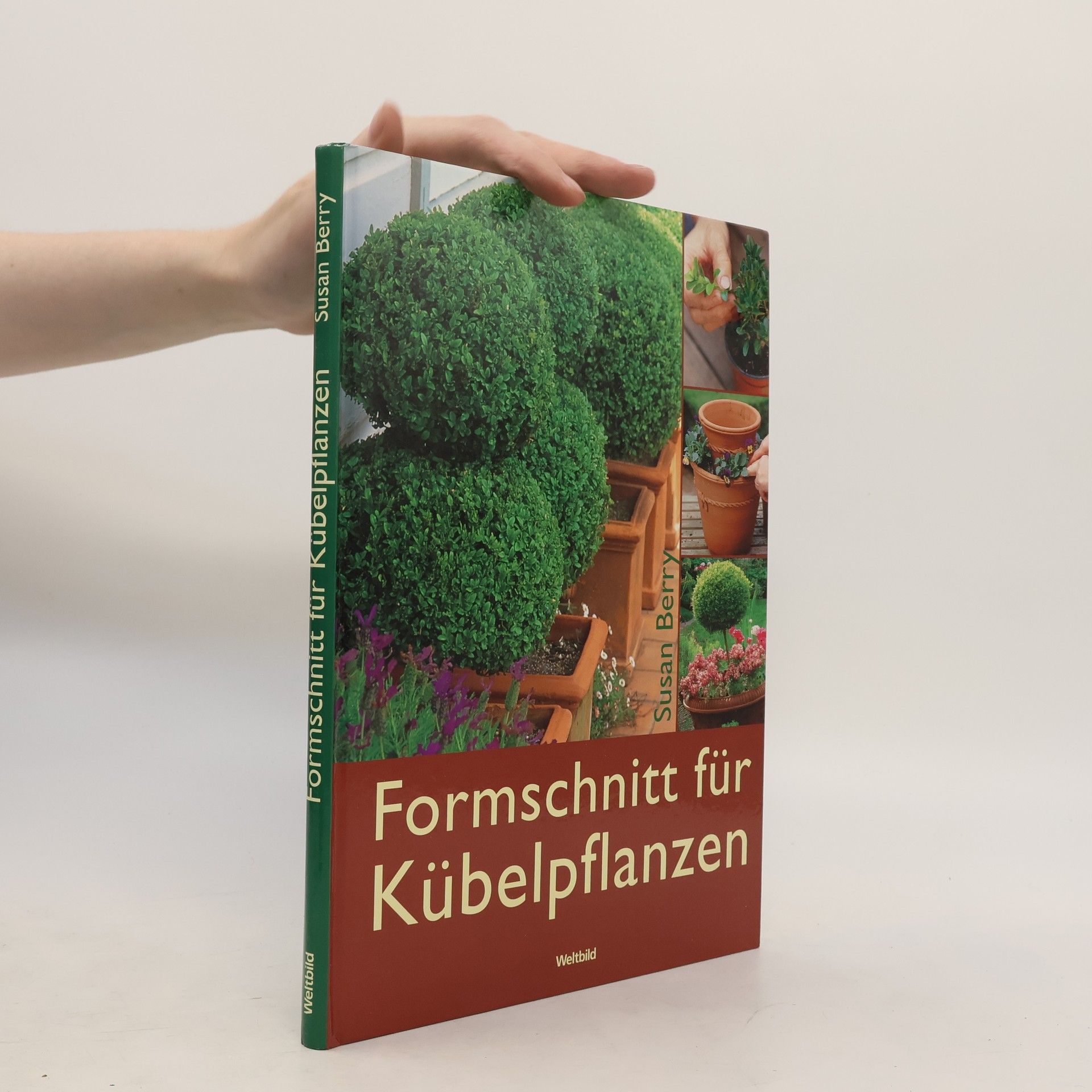 Susan Berry Formschnitt für Kübelpflanzen