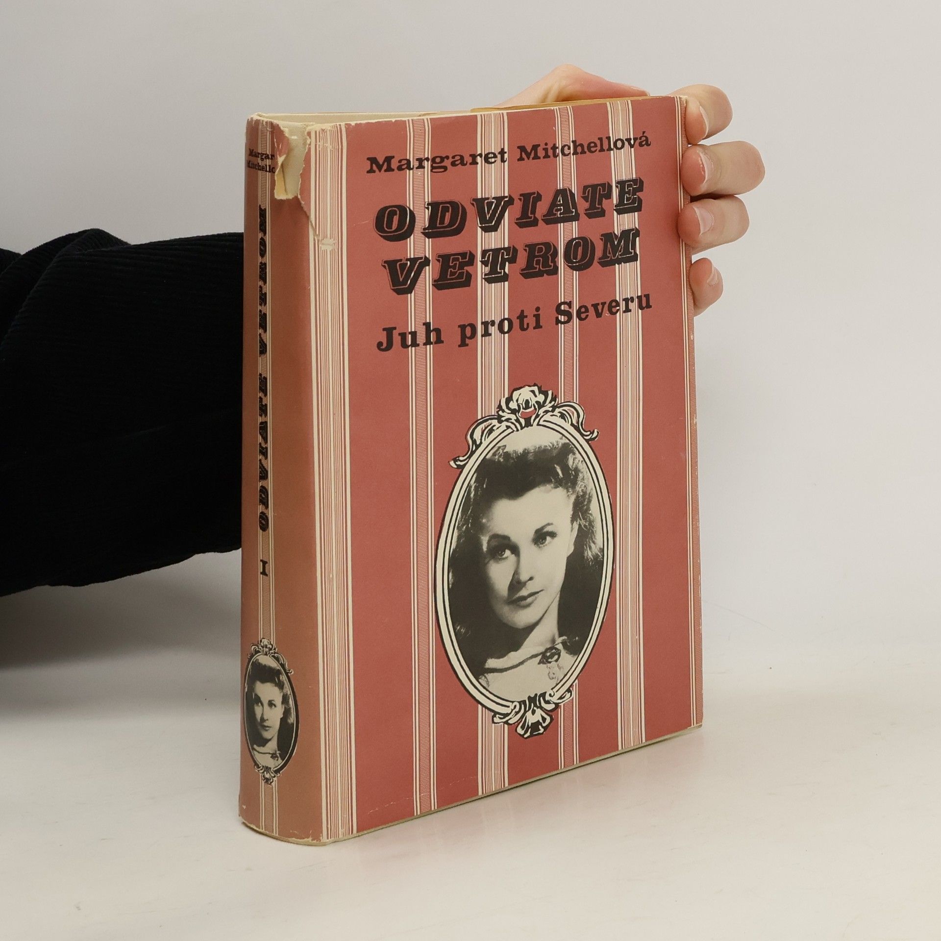 Margaret Mitchell Odviate vetrom. Juh proti Severu I.